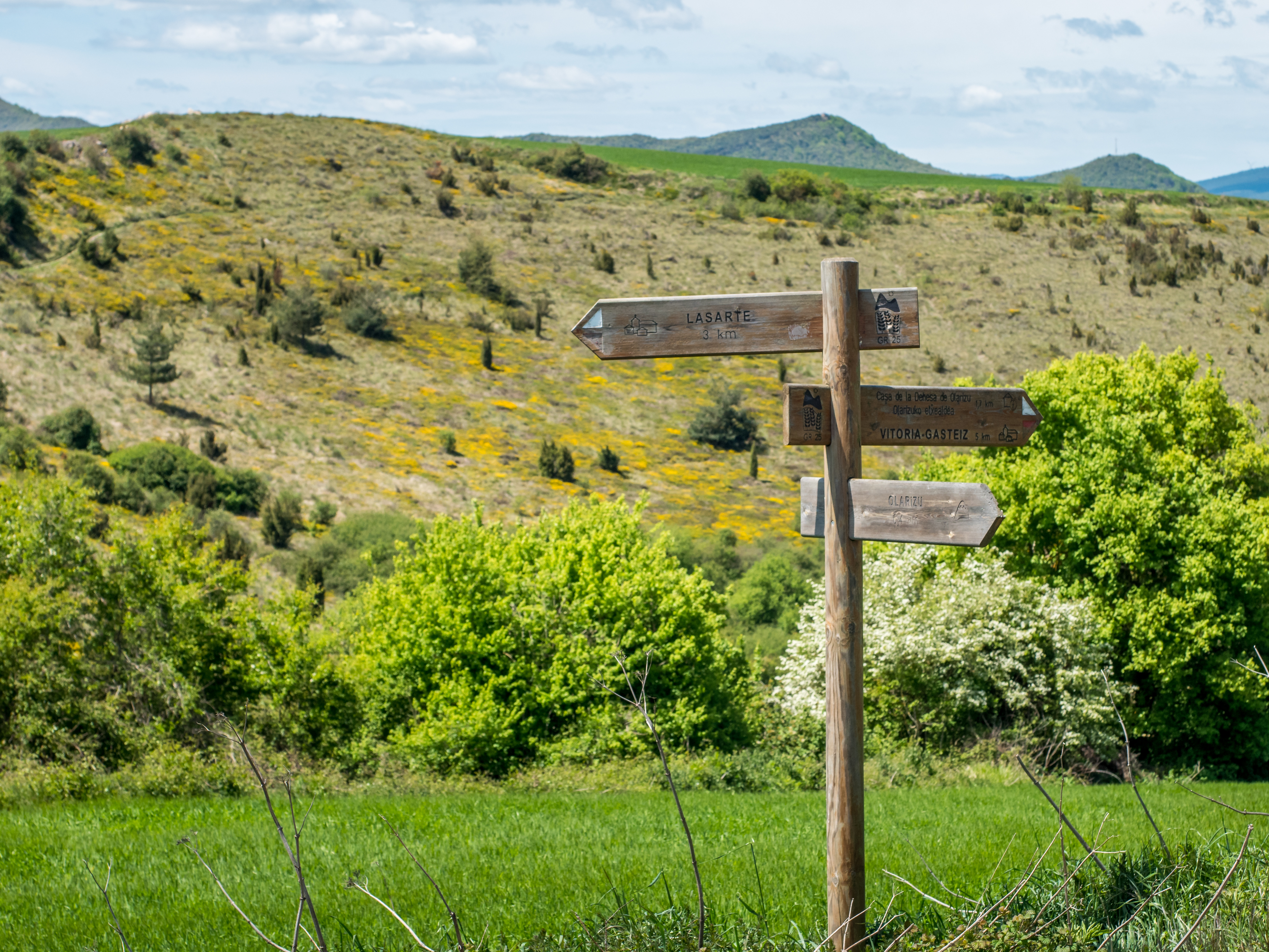 Vitoria - Olarizu - GR25 03