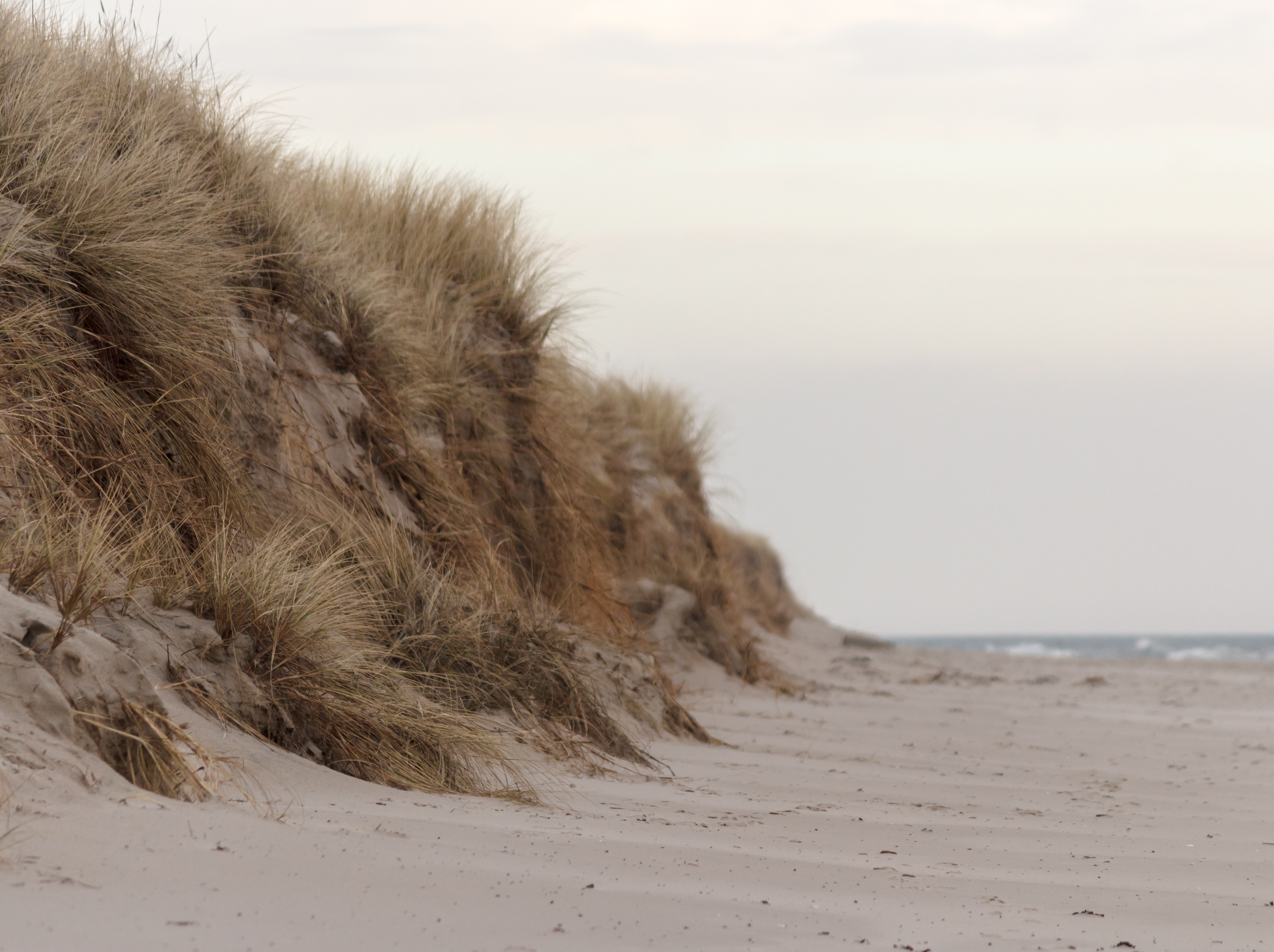 Beach at Sandhammaren 2 2015-03-29