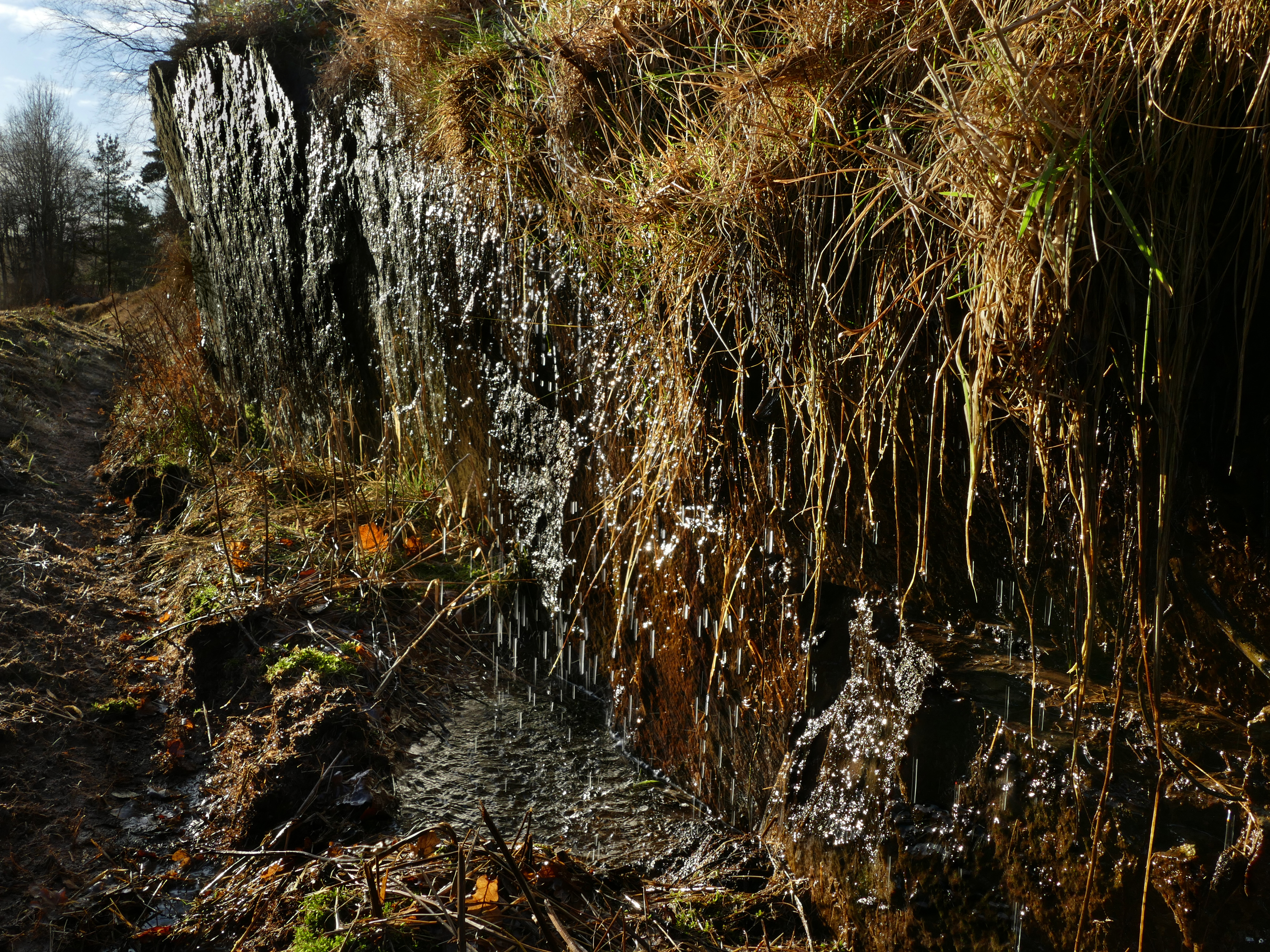 Drainage water from a forested area dripping into a ditch 1
