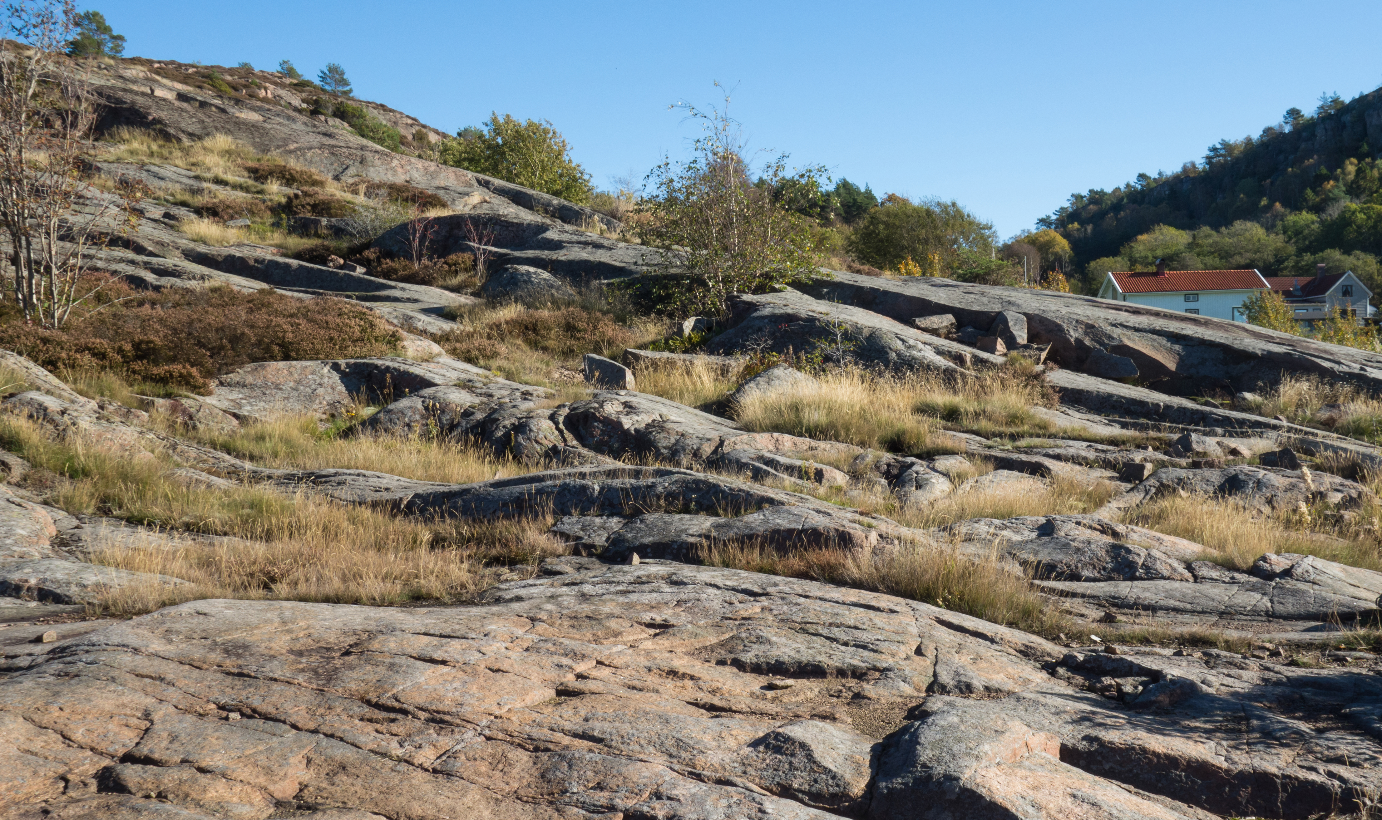 Granite cliffs at Loddebo