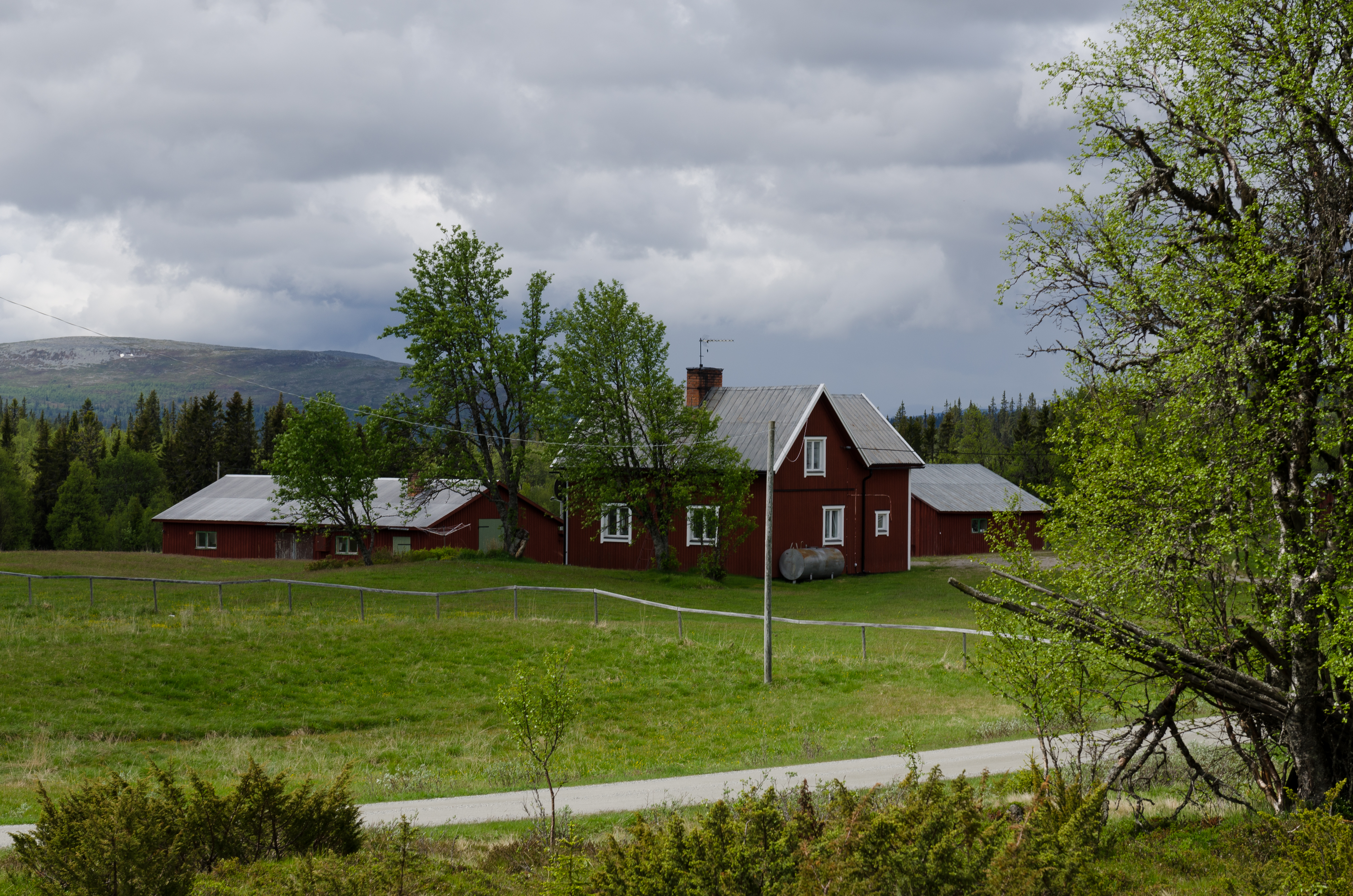 Högvålen 2012b
