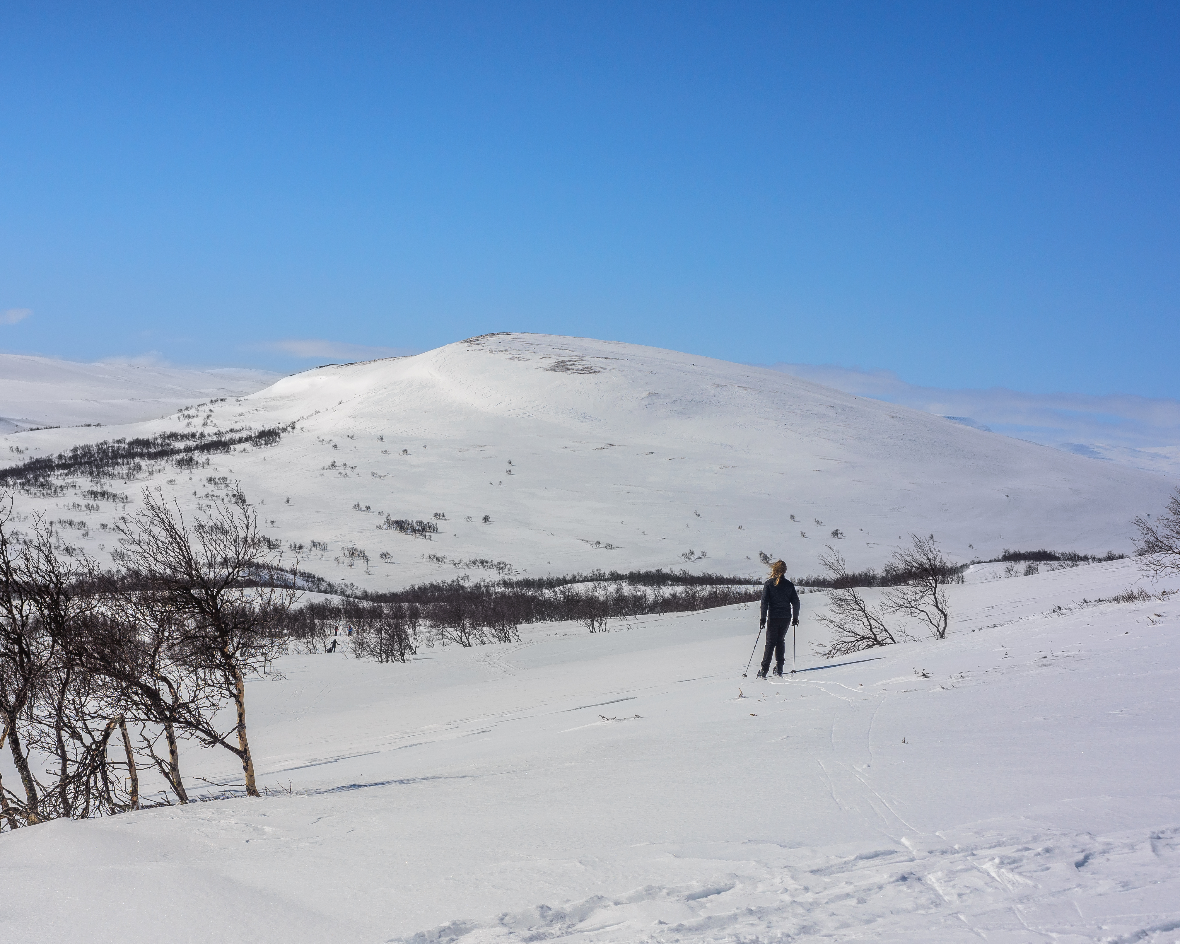 Ljungdalen April 2014 05