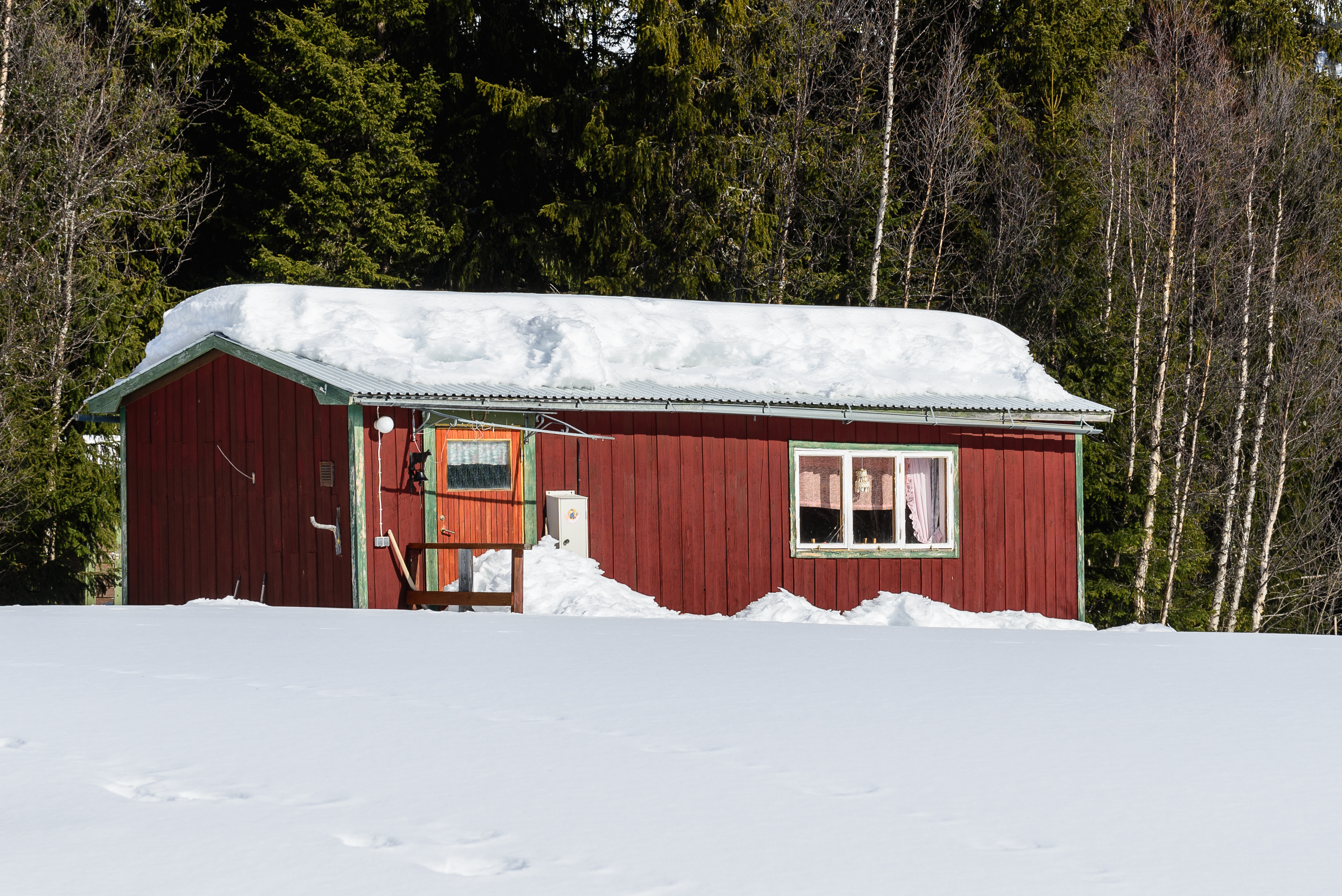 Ljungdalen Mars 2013 12