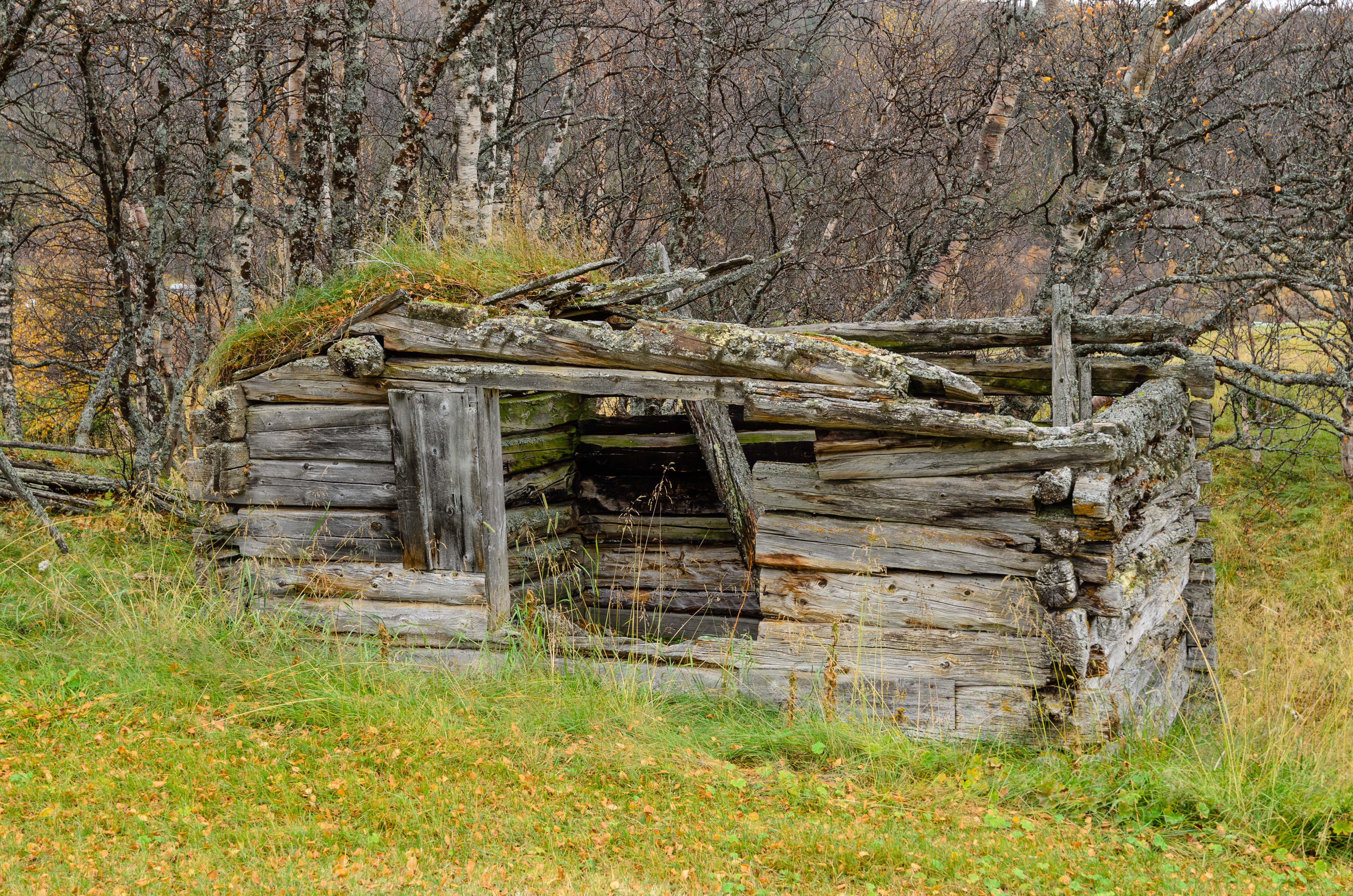 Ljungdalen October 2015 01