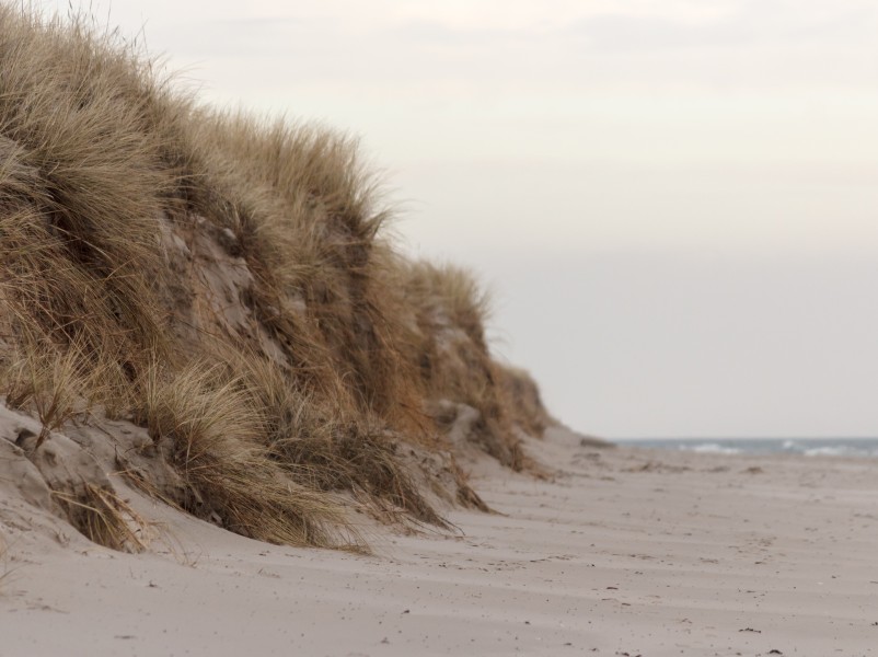 Beach at Sandhammaren 2 2015-03-29