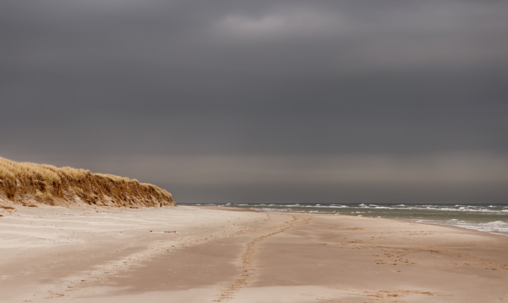 Beach at Sandhammaren 3 2015-03-29