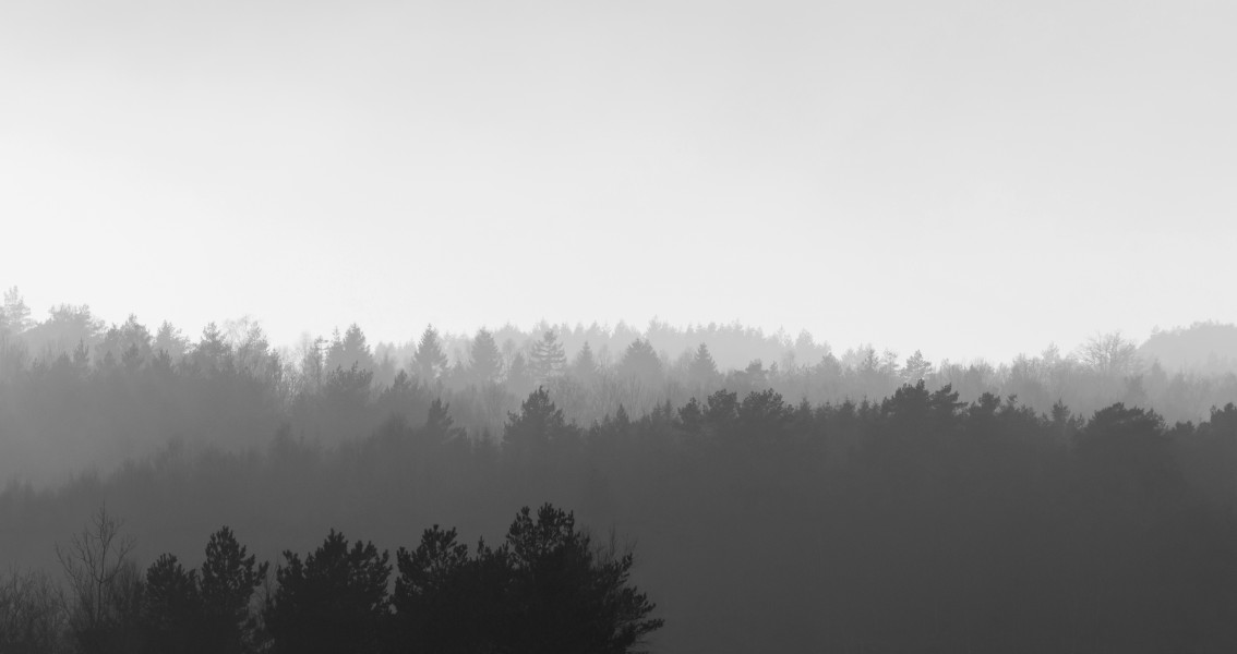 Forested hills in Lysekil in fog - wide - B&W