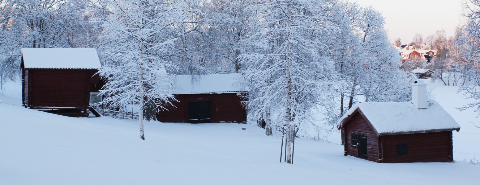 Gammelgården 4 december 2010
