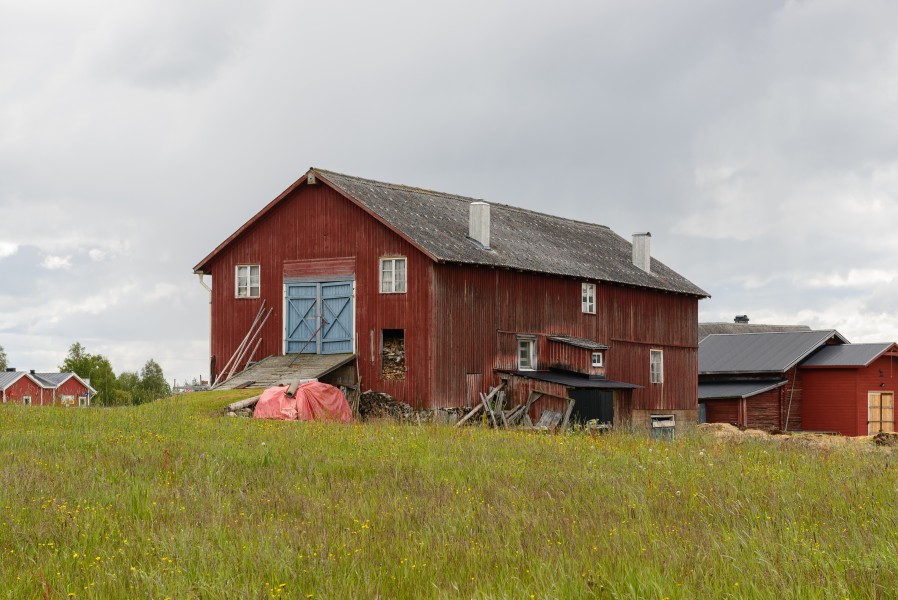 Klövsjö June 2014 05