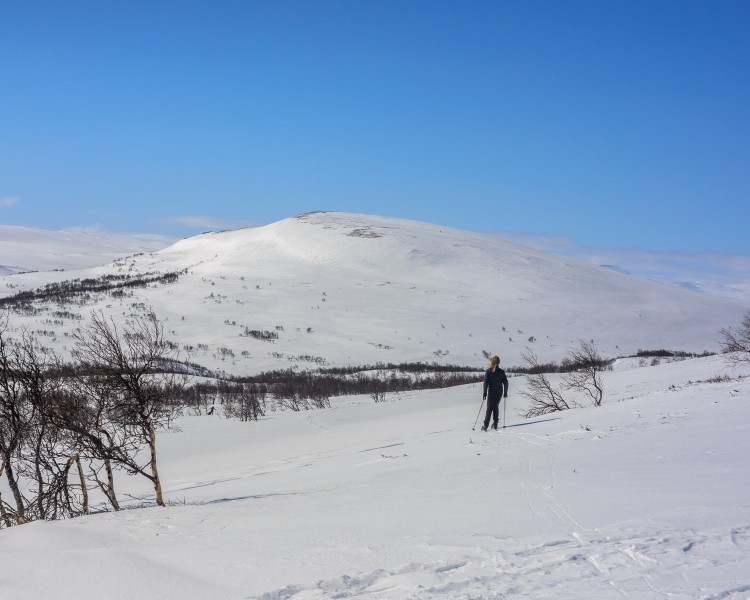 Ljungdalen April 2014 05