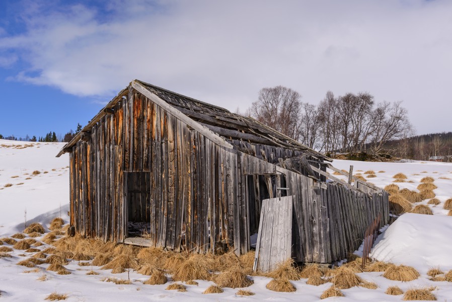 Ljungdalen April 2015 06