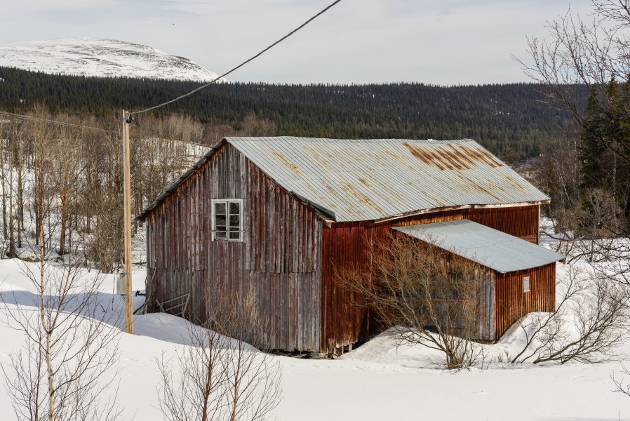 Ljungdalen Mars 2013 18