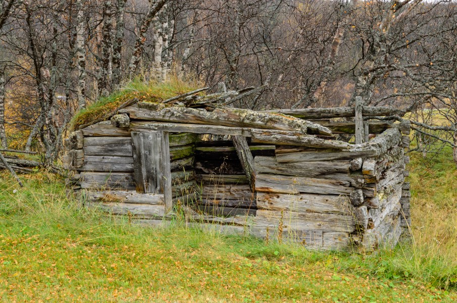 Ljungdalen October 2015 01