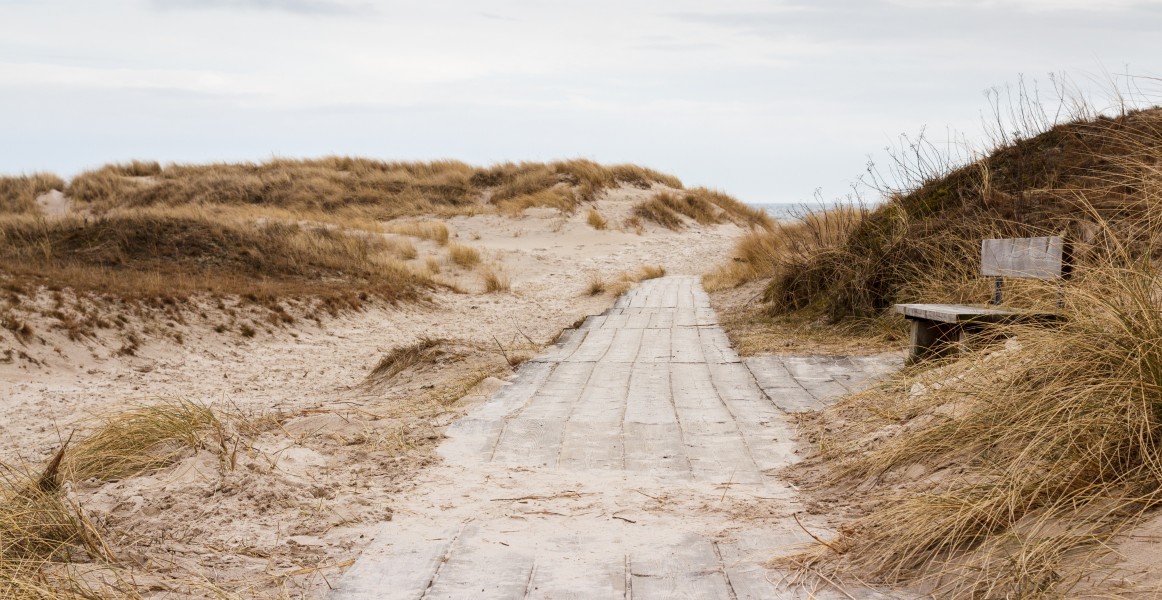 Path to Sandhammaren beach 2015-03-29-4707