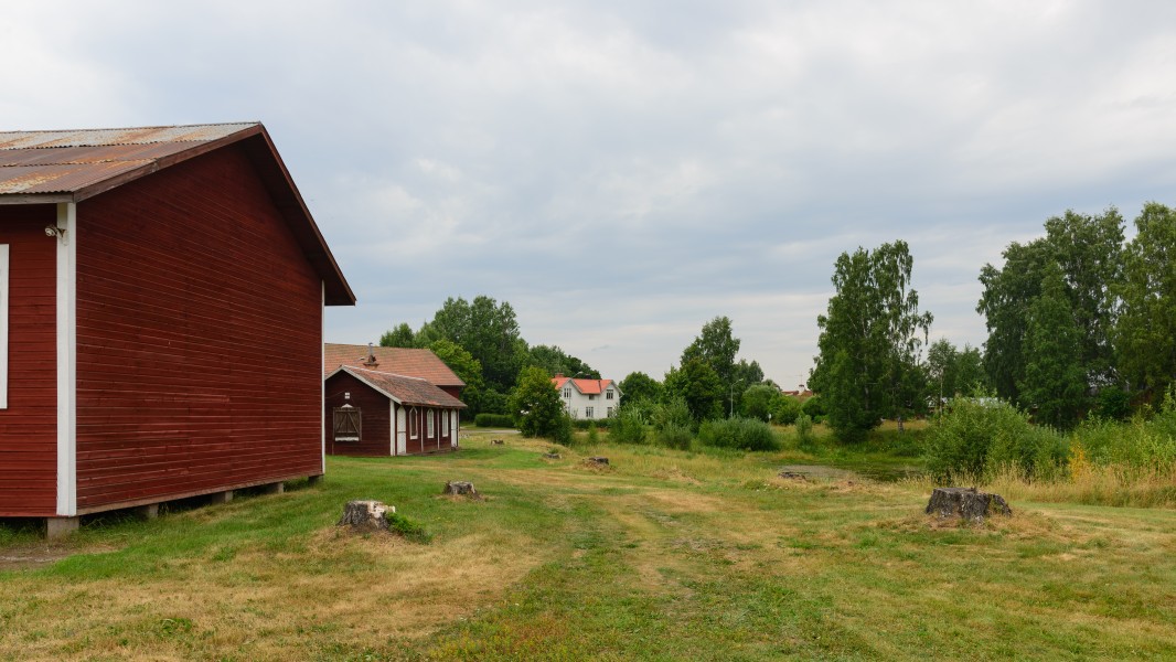 Rommehed July 2013 09