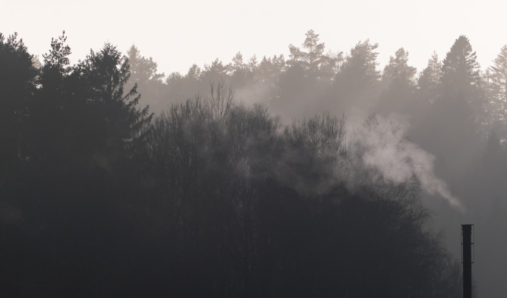 Smoke from a small chimney in fog