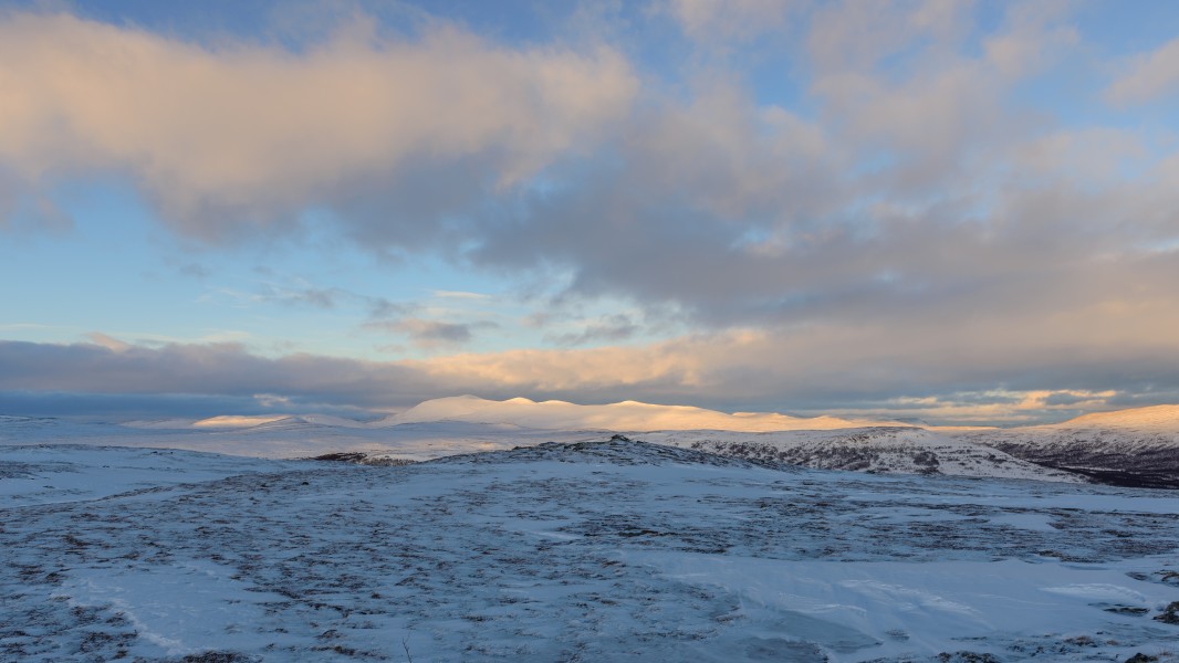 Torkilstöten December 2013 19