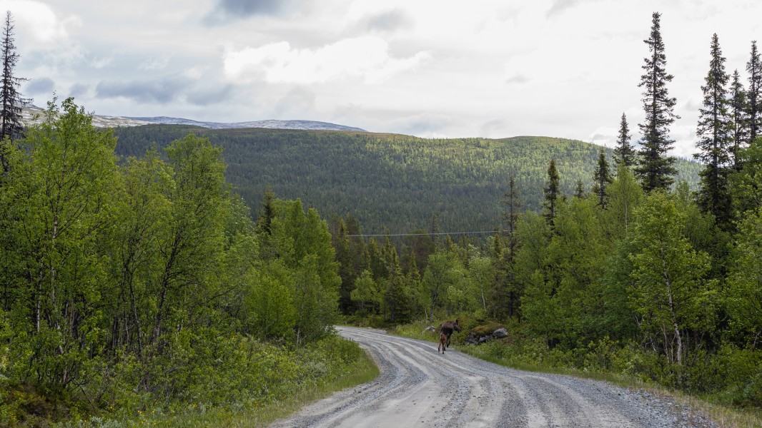 Torkilstöten June 2014 02