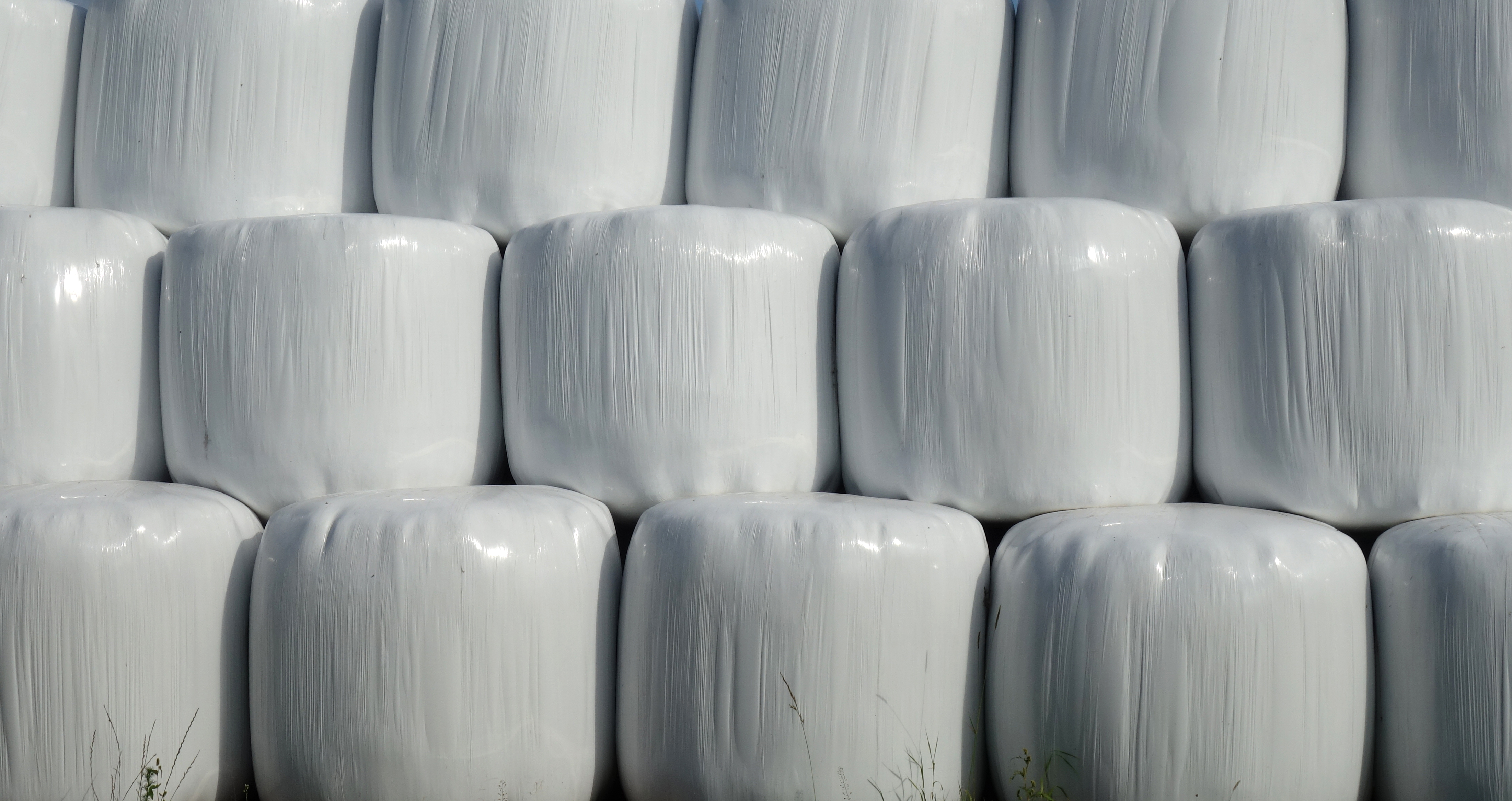Stacked round silage bales