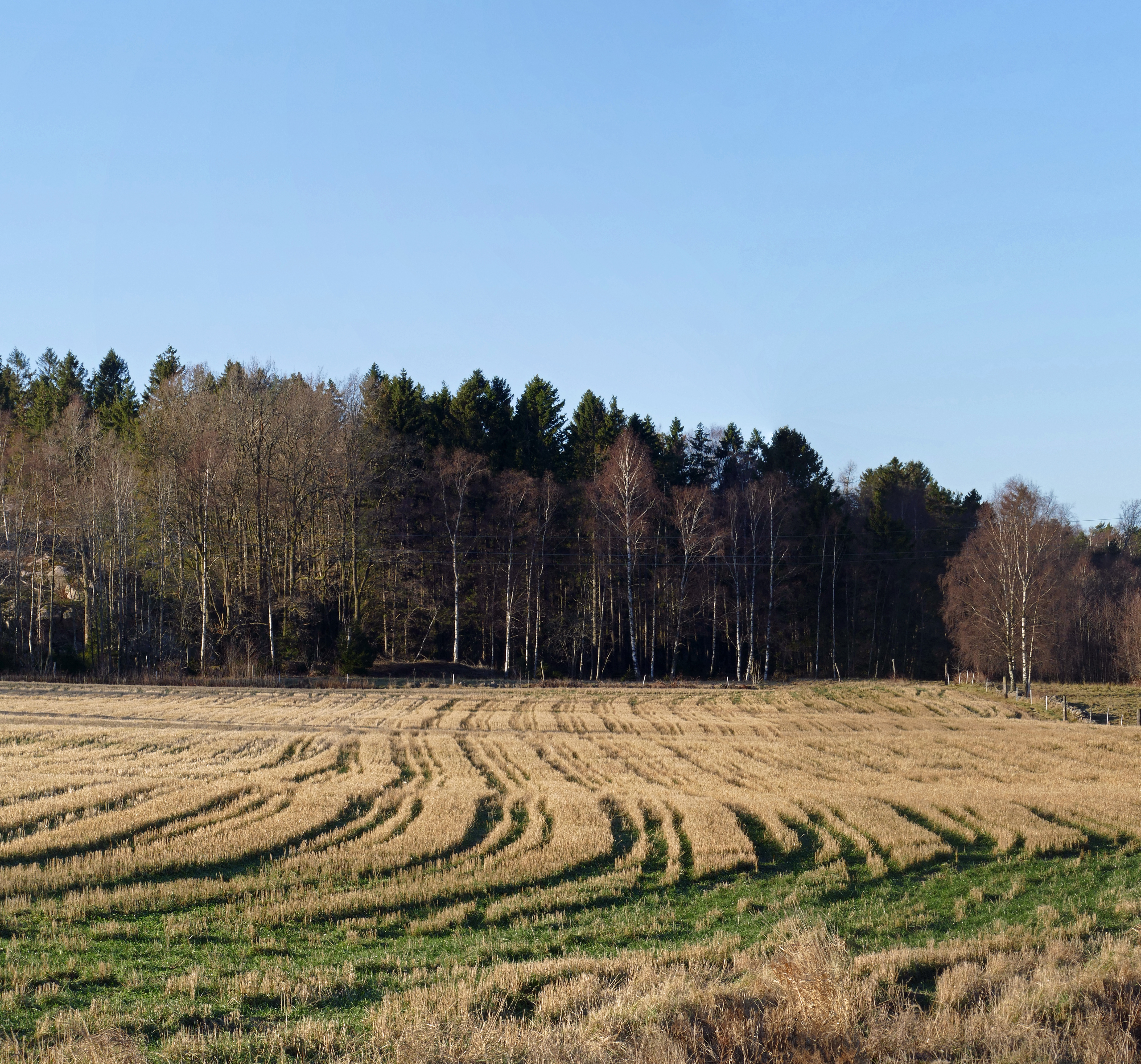 Stubble field in Brastad - 2