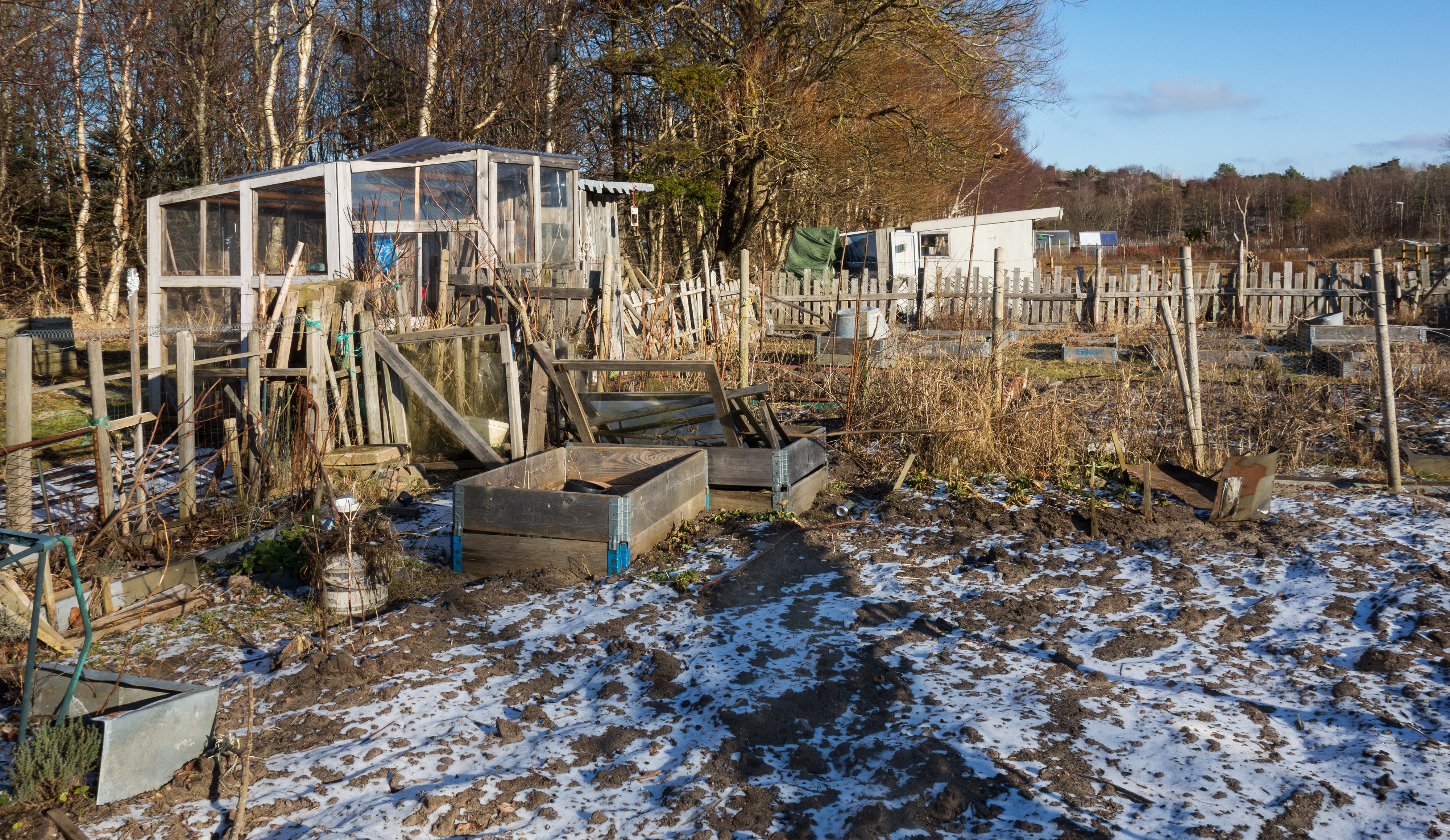 Dalskogens allotments