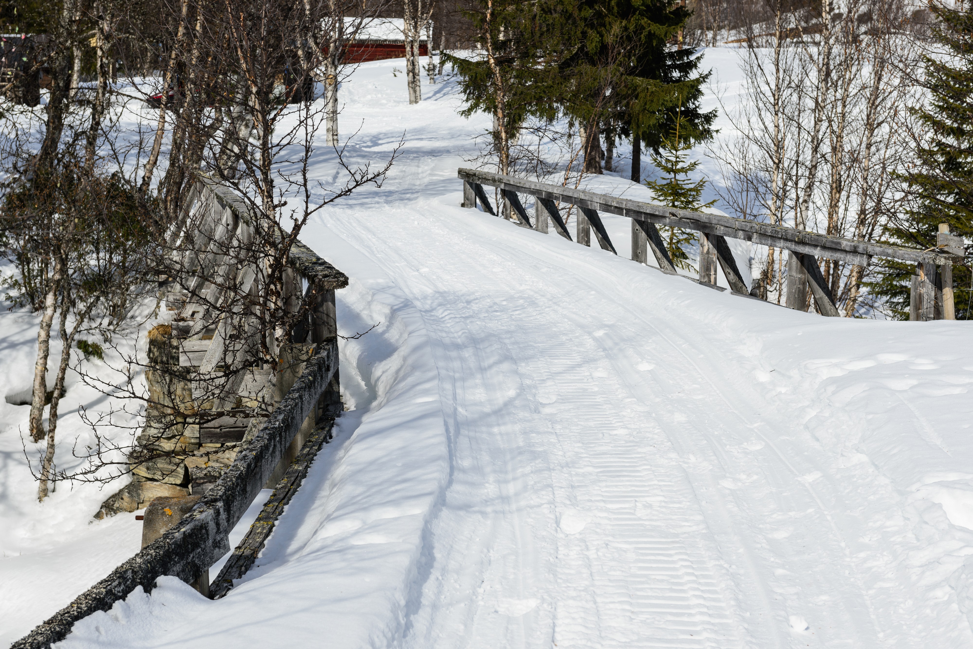 Ljungdalen Mars 2013 19