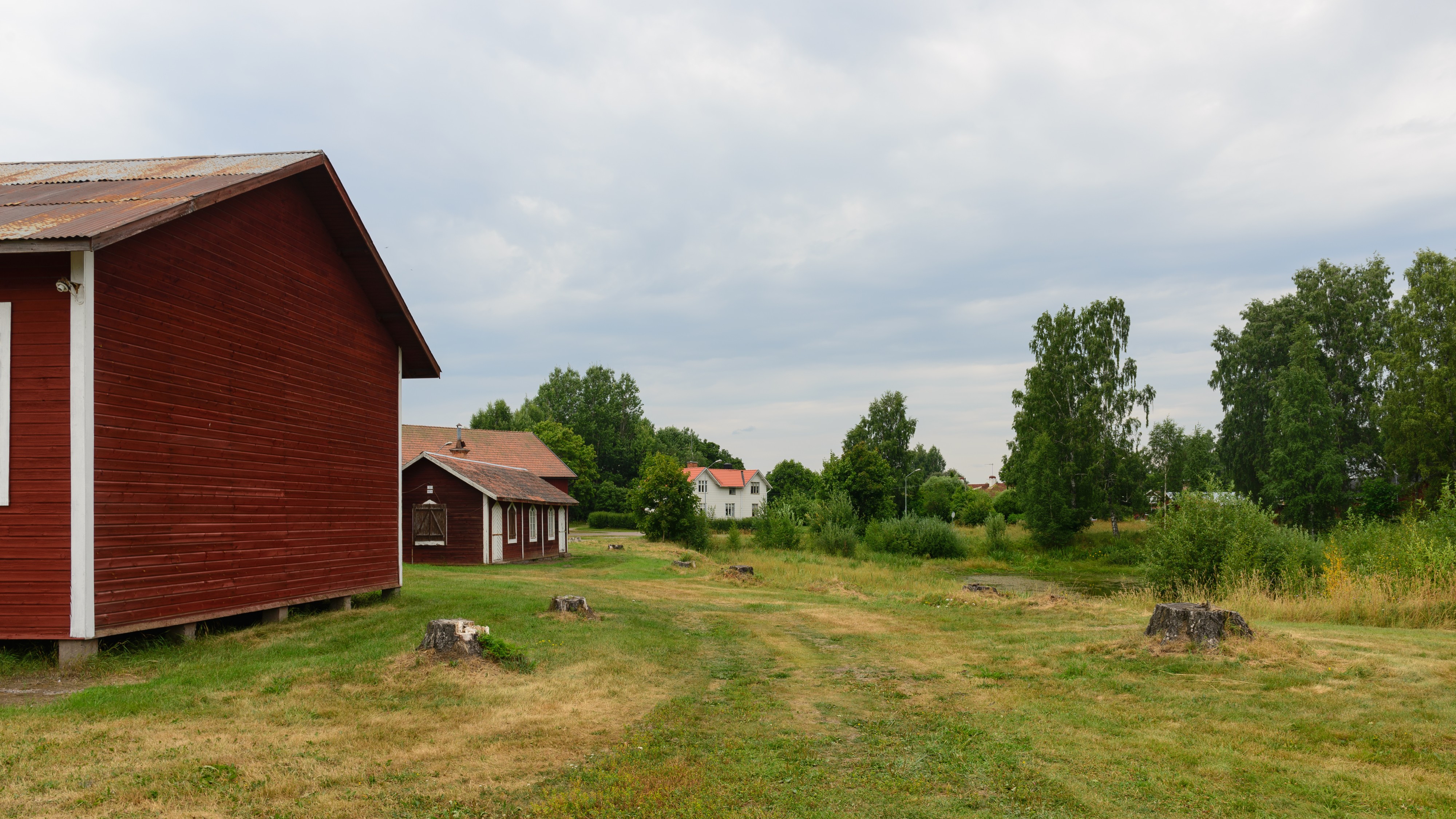 Rommehed July 2013 09
