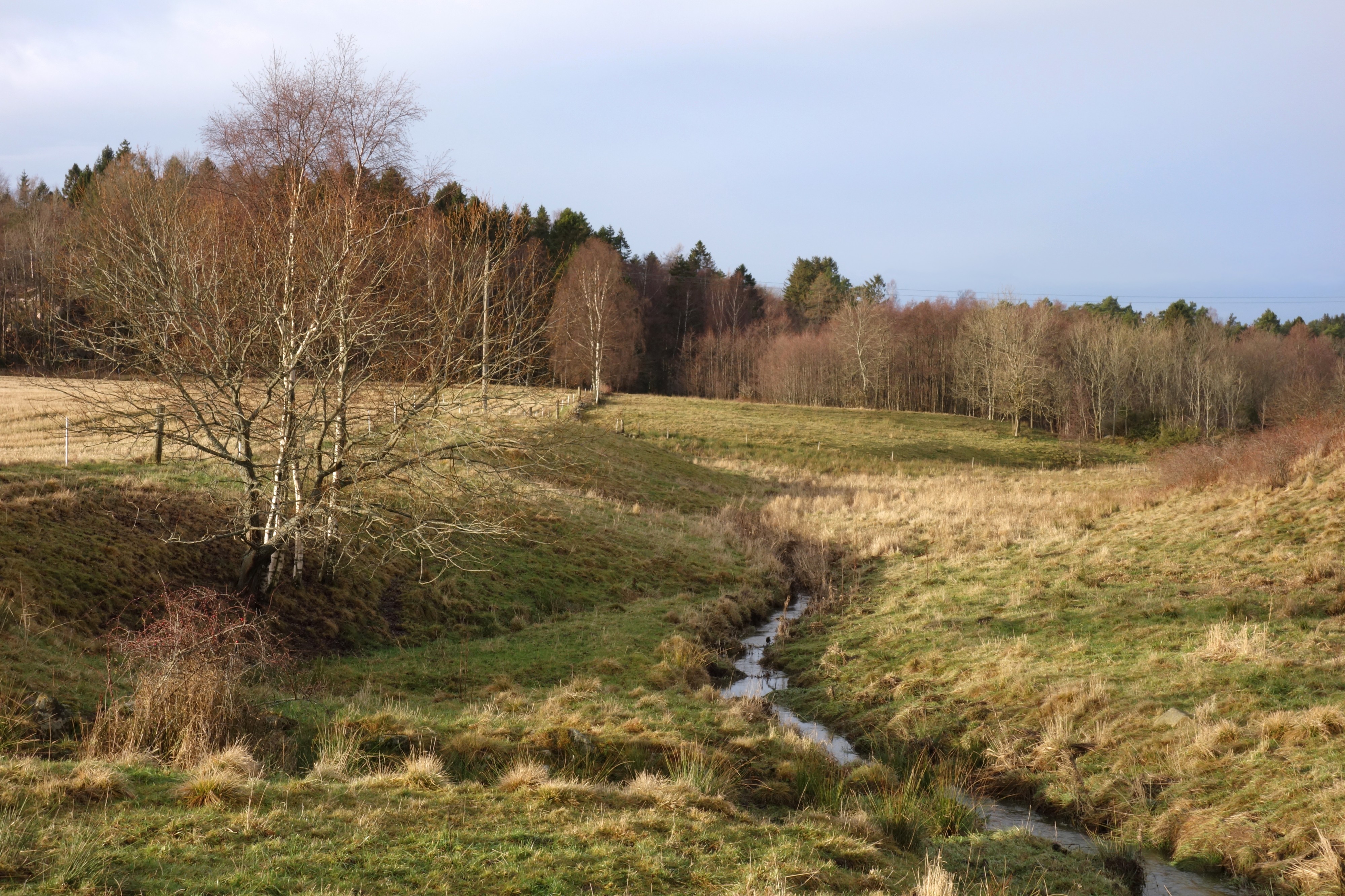 Small gully between fields in Brastad