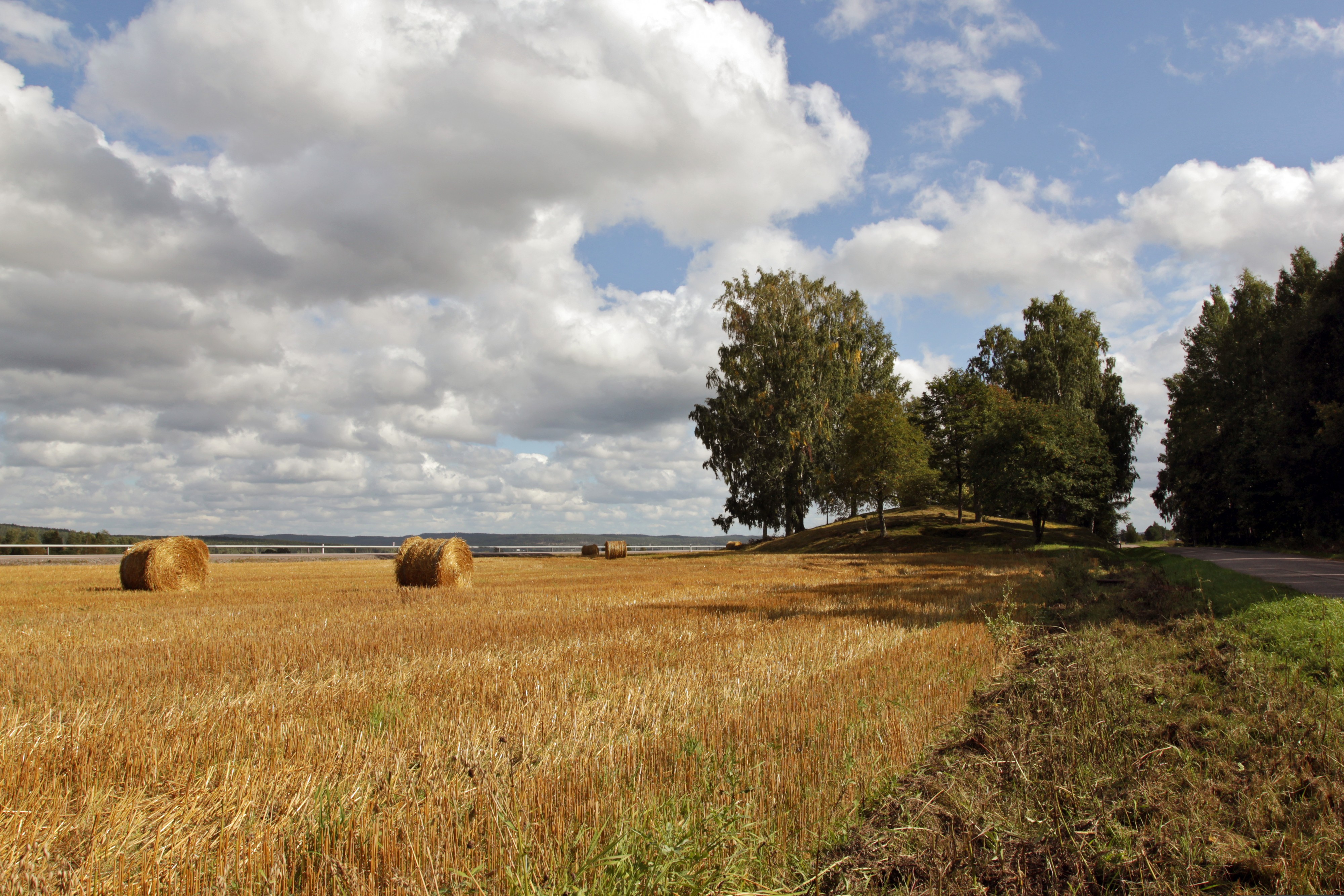 Stora hundkullen höskörd 01
