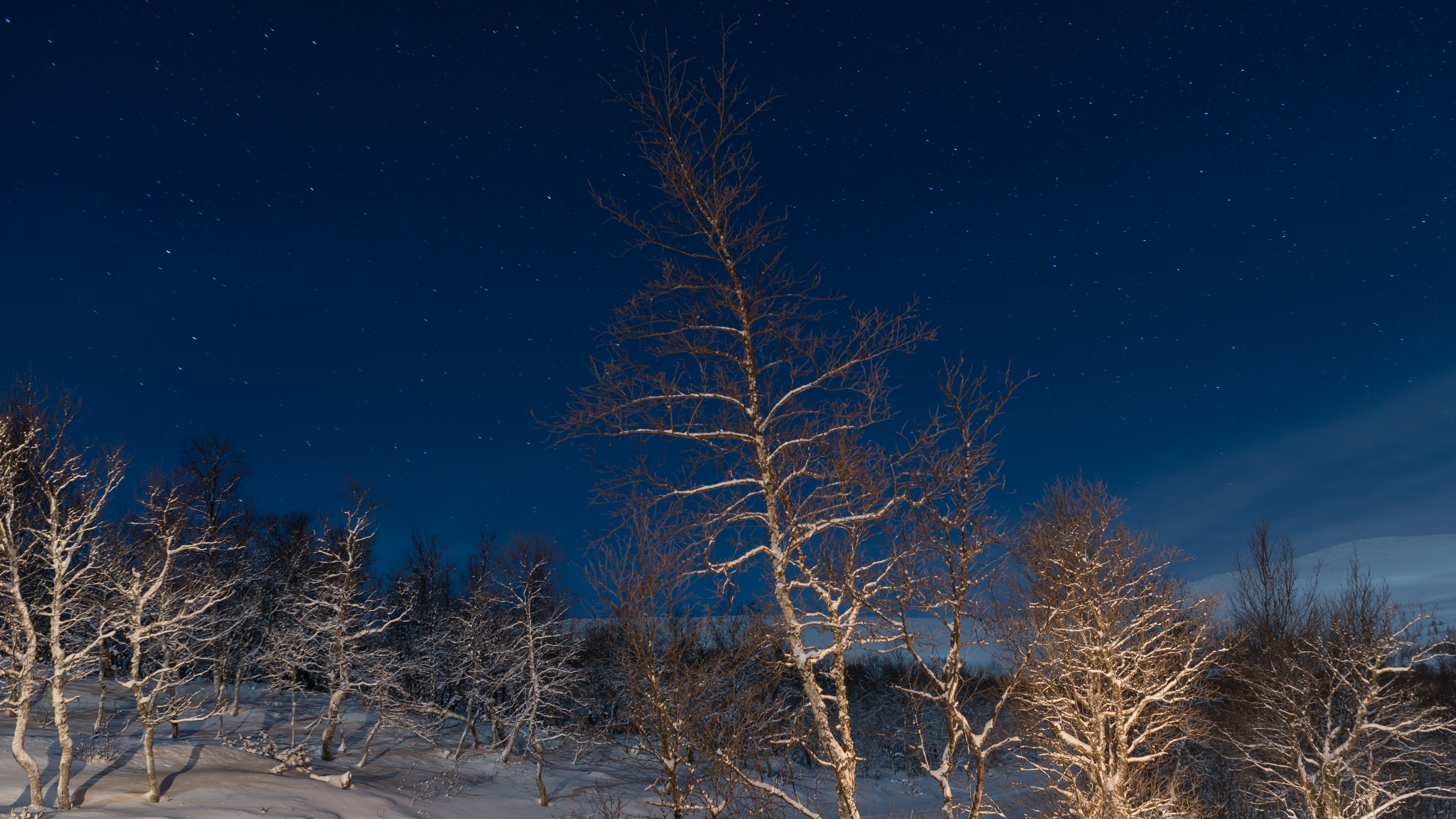 Torkilstöten December 2013 04