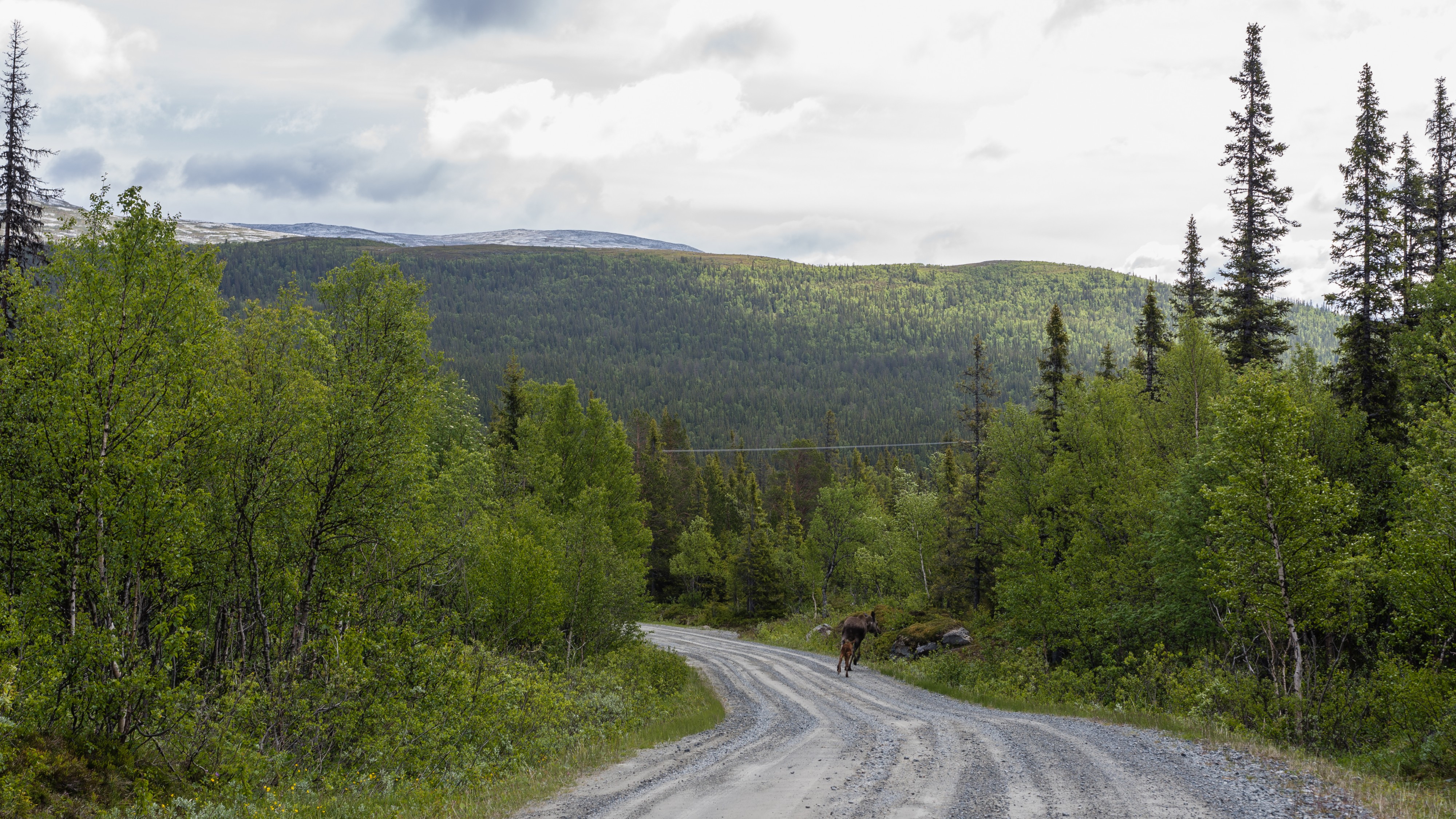Torkilstöten June 2014 02