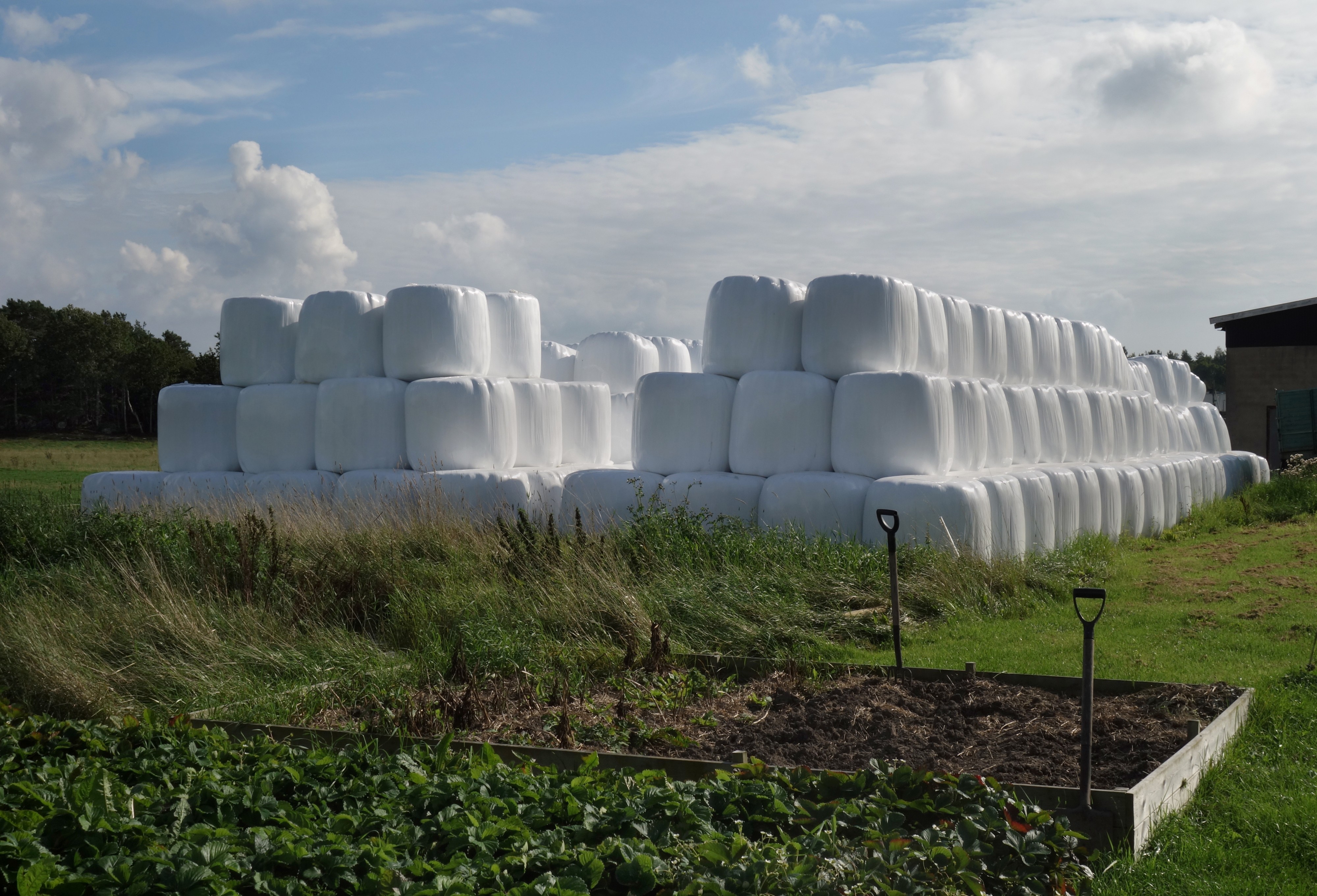 Two stacks of silage bales