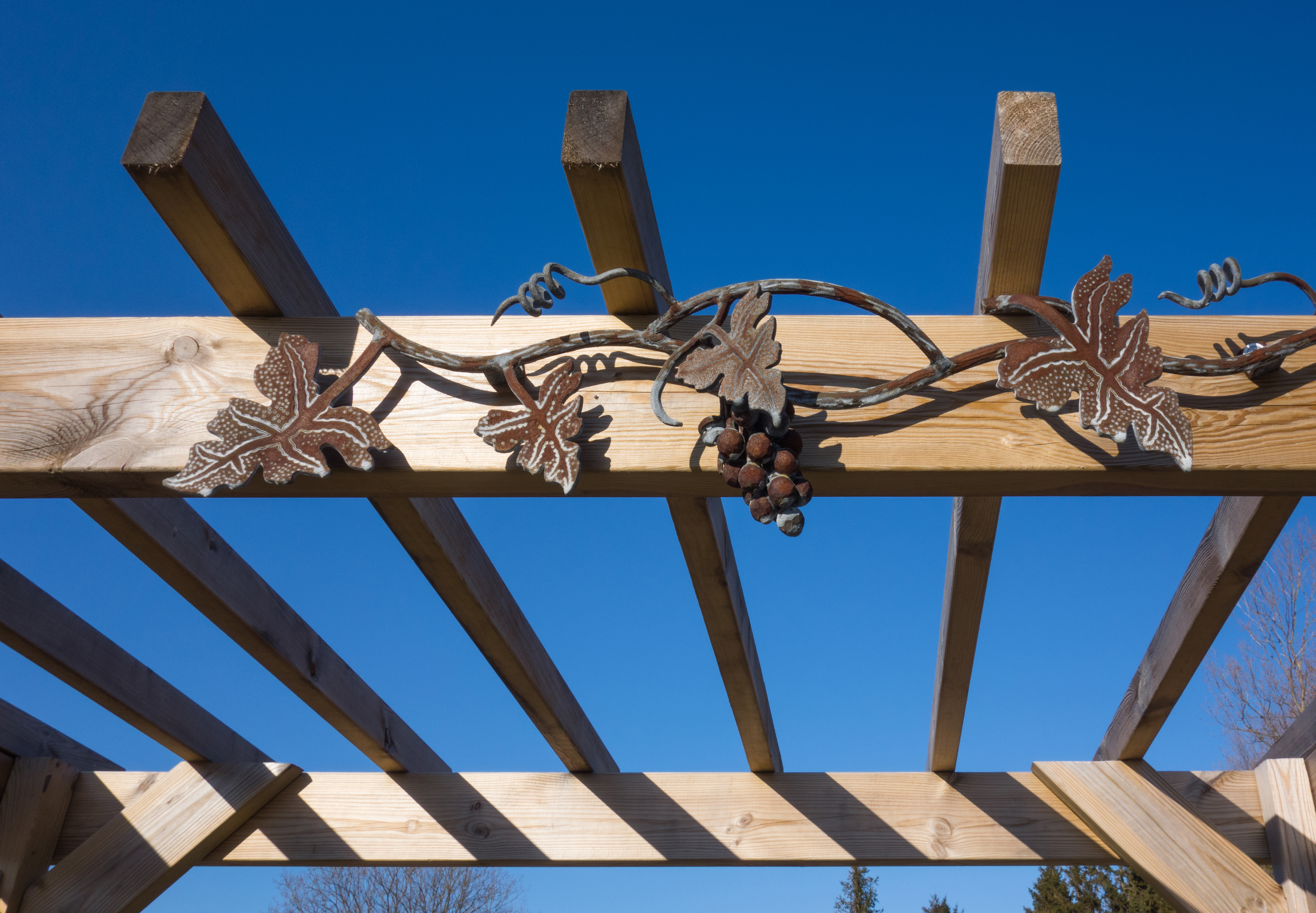 Top of pergola in Cateaux Luna vineyard