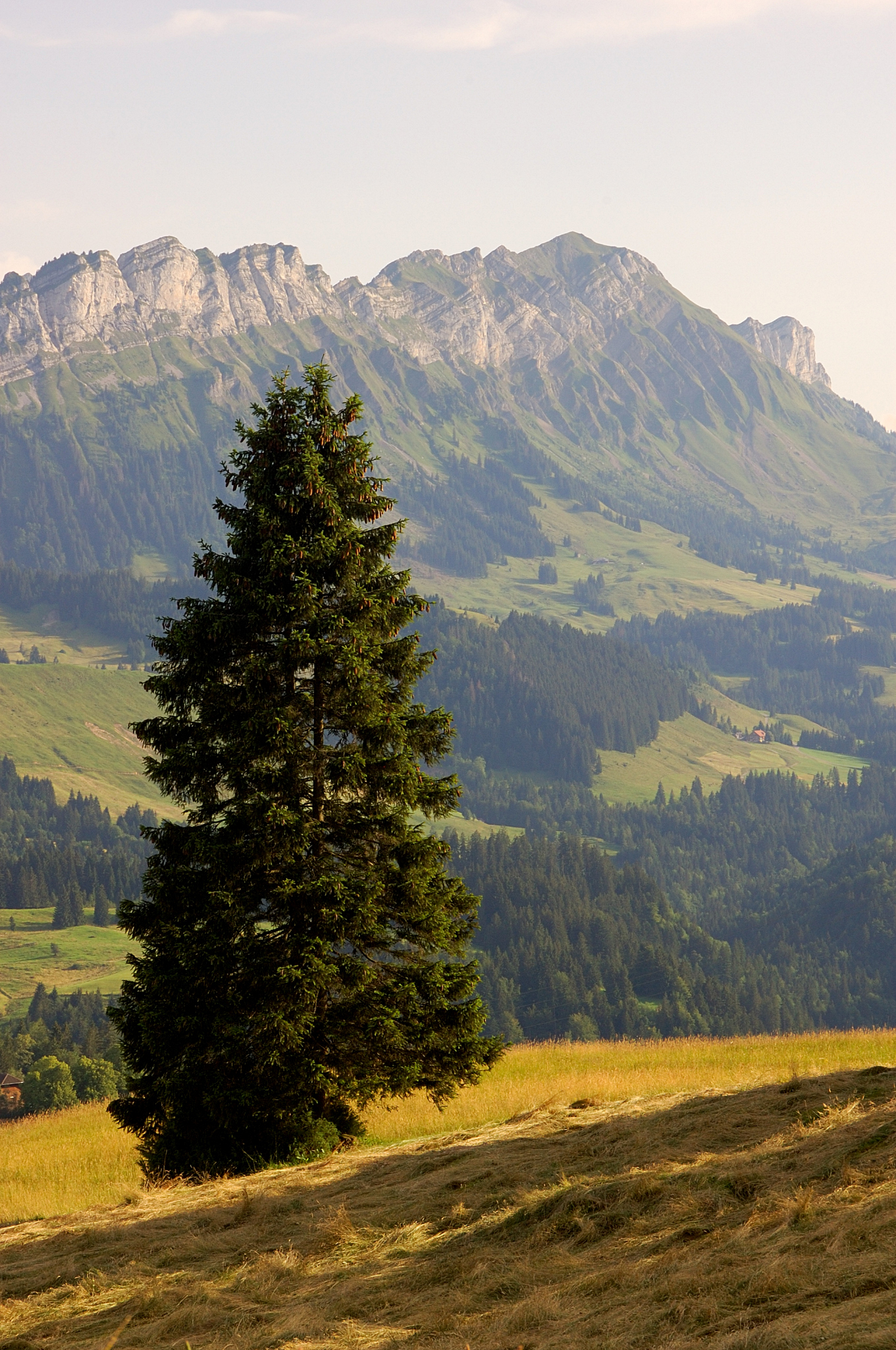 Aebnistettenflue entlebuch 03