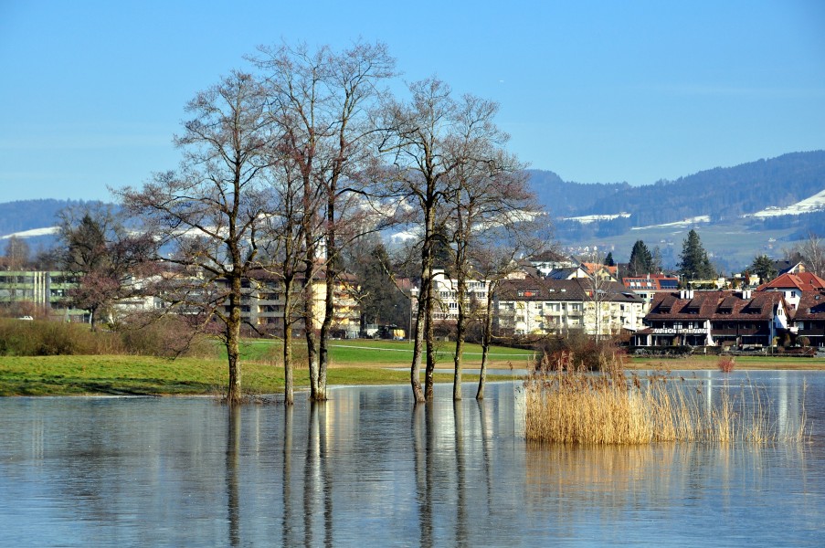 Bubikon - Hüsliriet 2012-01-16 12-43-00