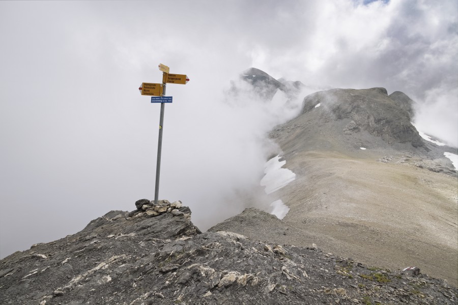 Signpost of Roter Herd in 2012 August