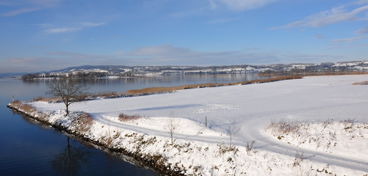 Ufenau - Lützelau - Pfannenstiel - Hurden Kanalweg 2010-12-18 14-40-52