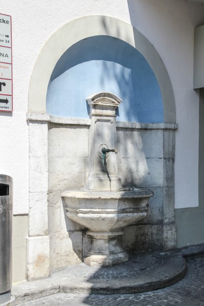 Zürich (CH), Brunnen -- 2011 -- 1406