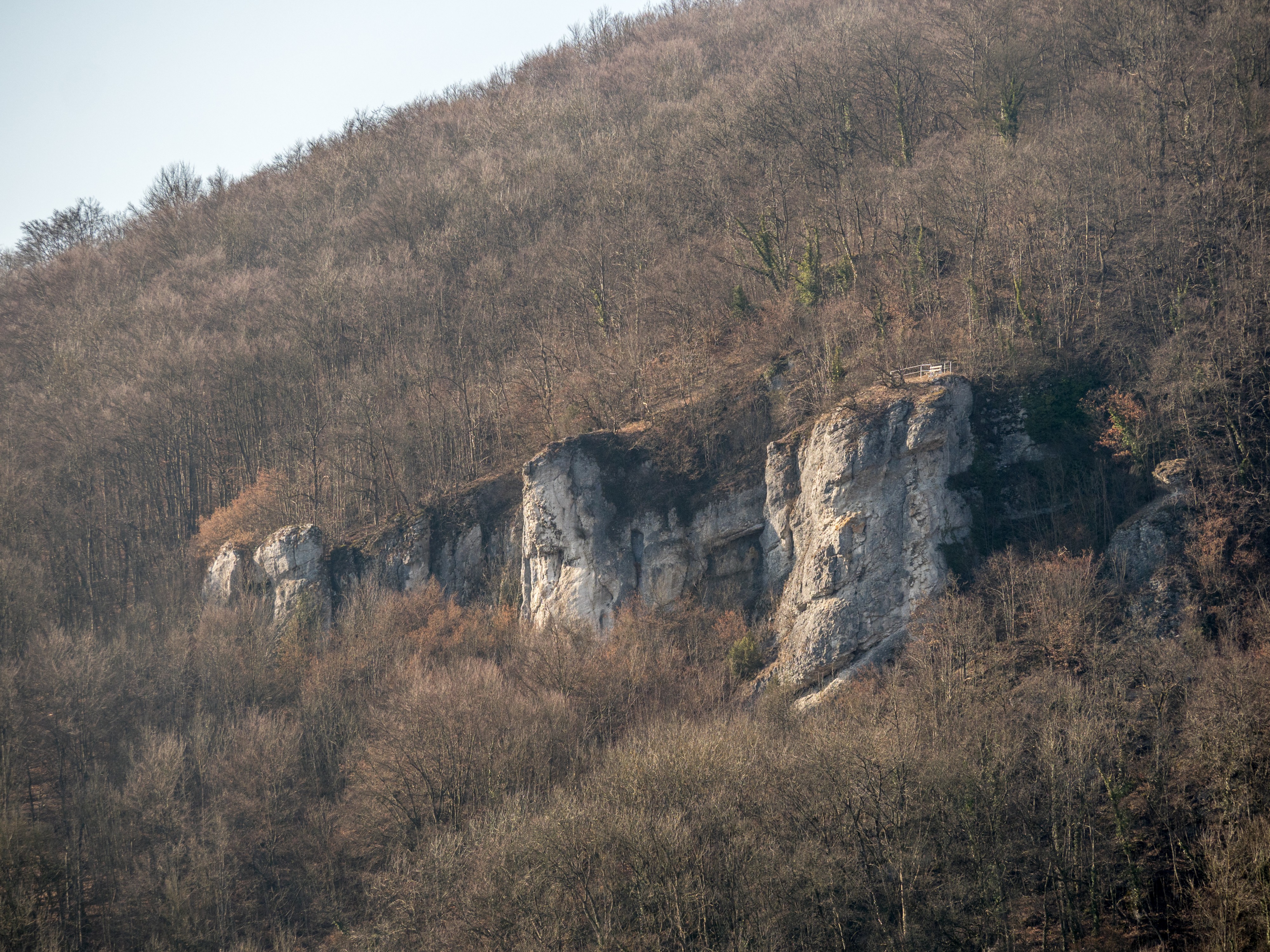 Streitberg Kalkfelsen am Hummerberg 3040080