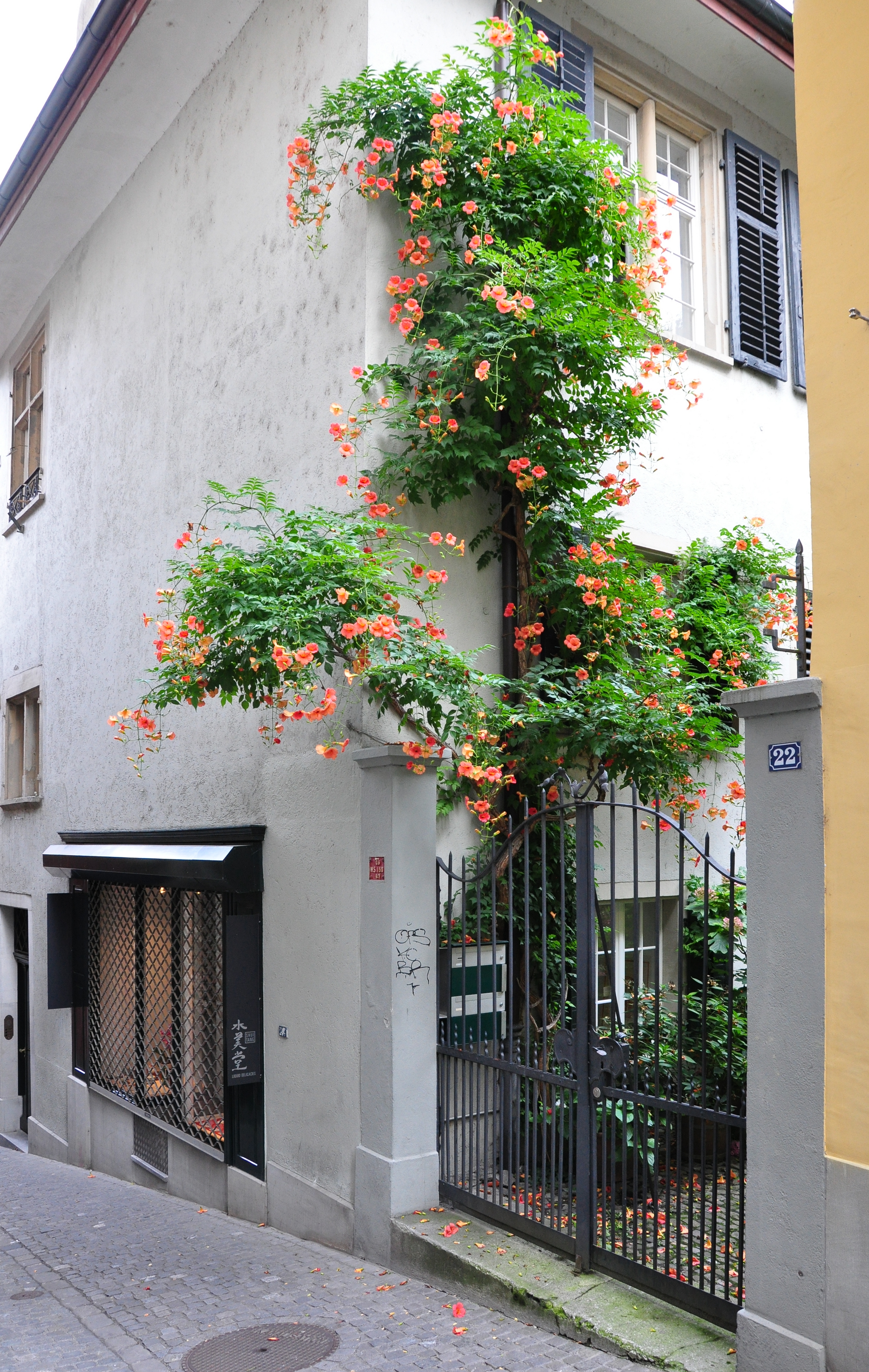 Zürich - Spiegelgasse 2010-08-15 18-53-24 ShiftN