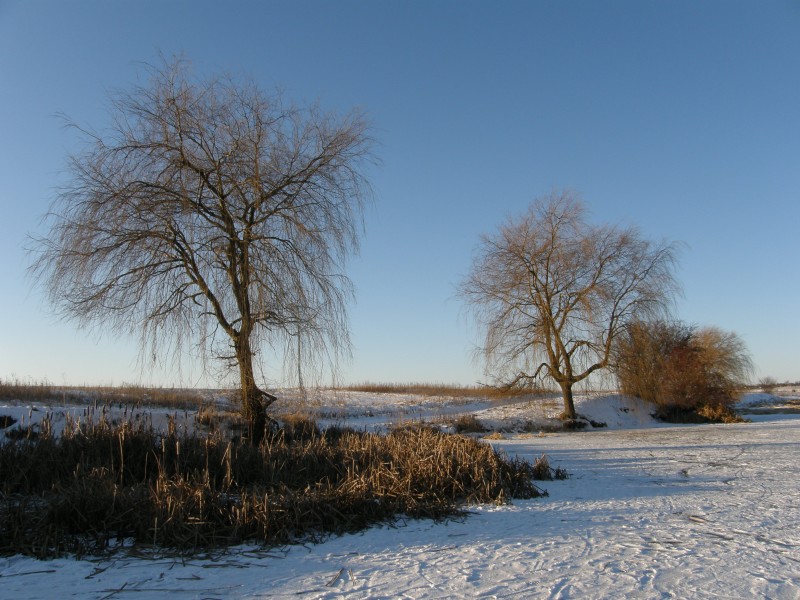 Winterlandschaft in der Ukraine 2