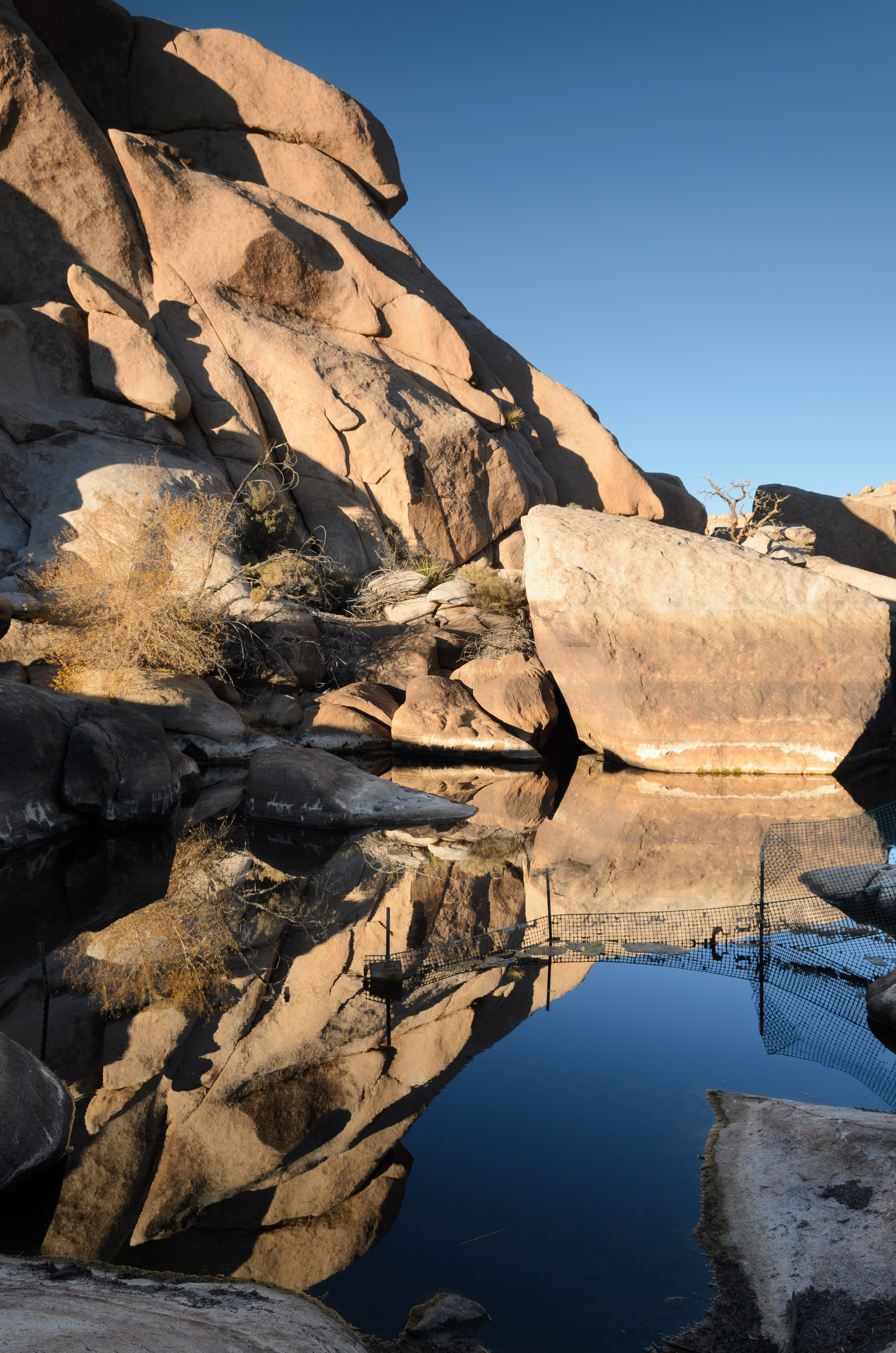 Barker Dam Joshua Tree December 2013 002