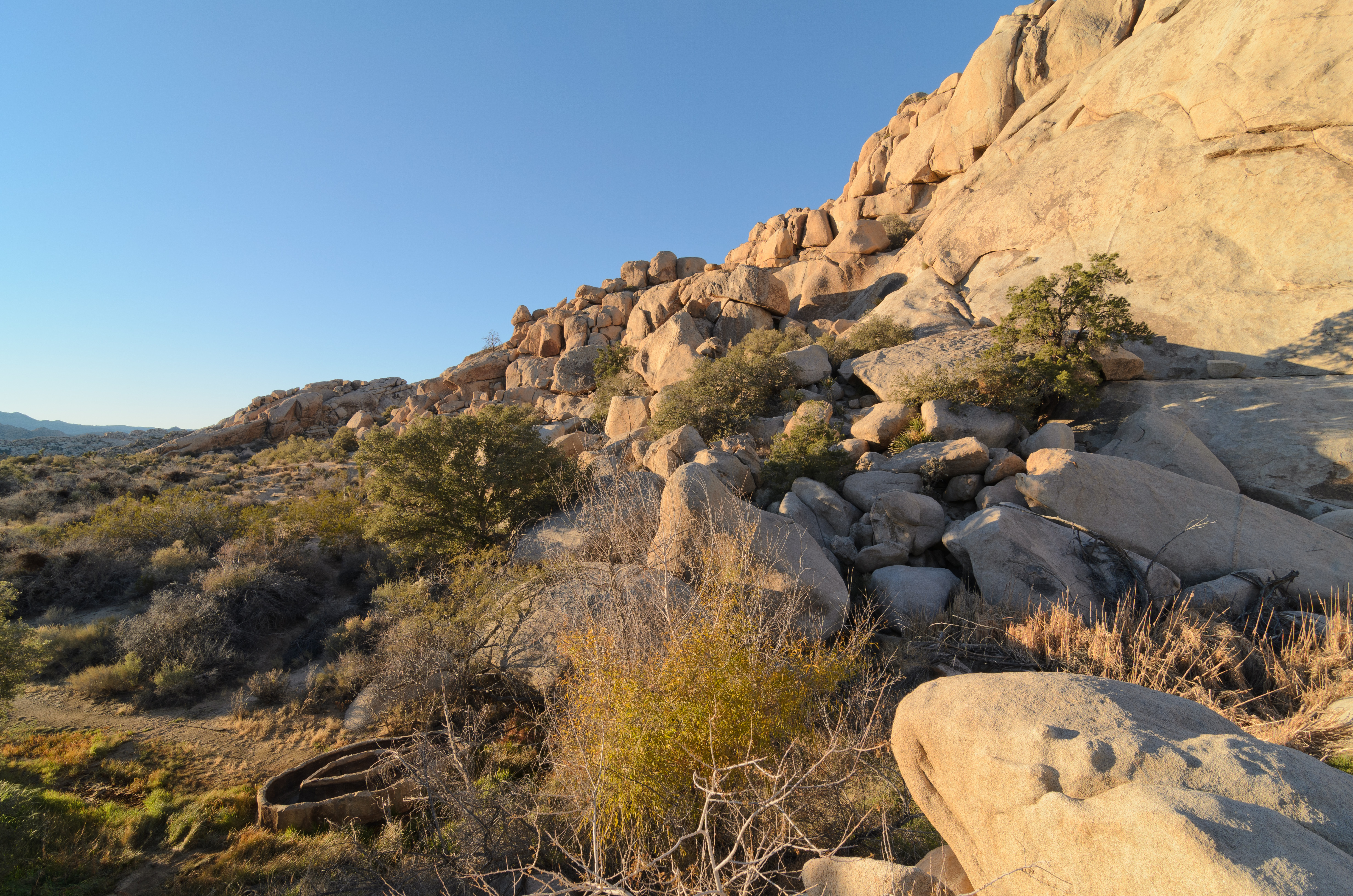Barker Dam Joshua Tree December 2013 004