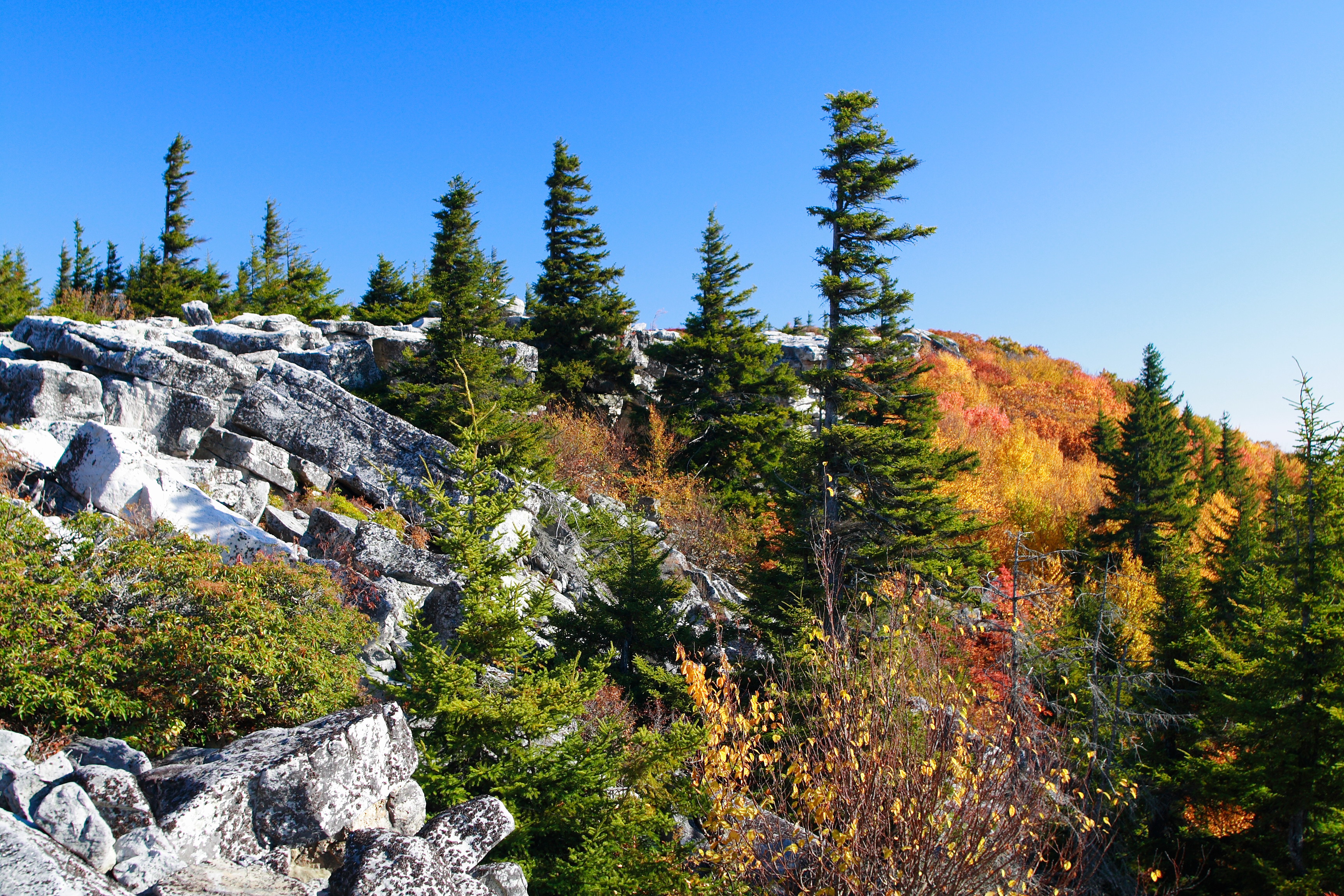 Bear-rock-wv-mountain-view - West Virginia - ForestWander