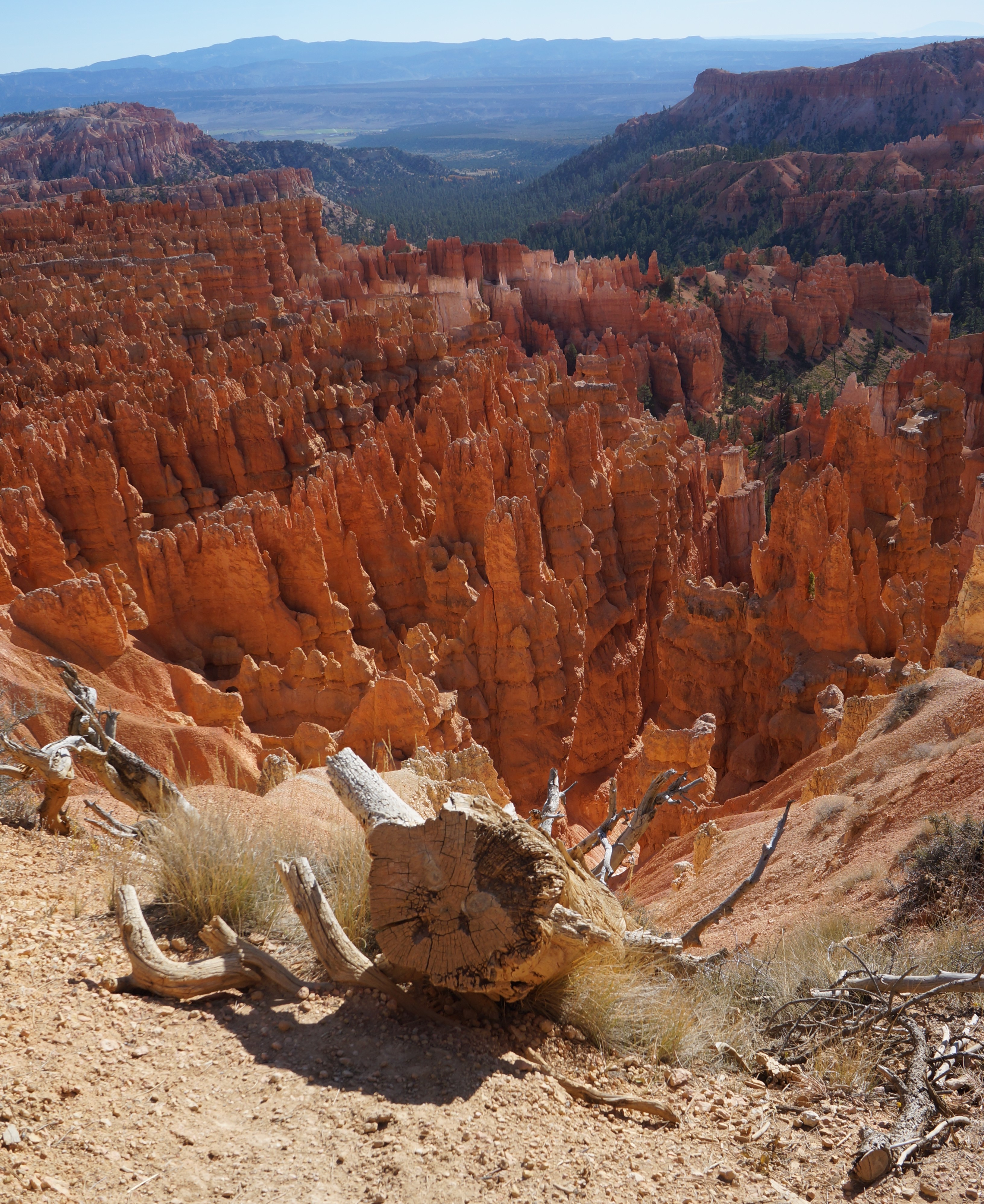 Bryce Canyon Inspiration (15)