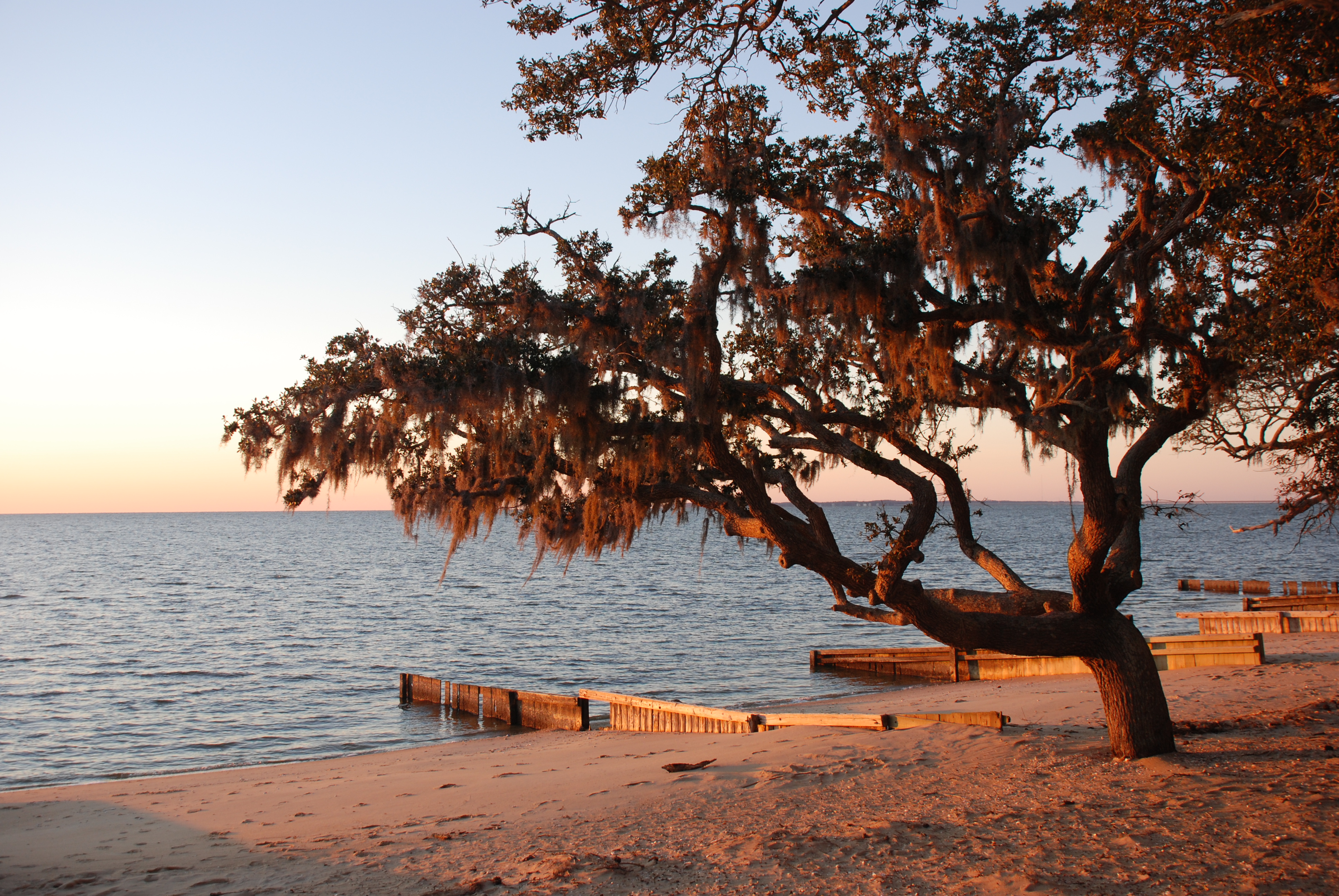 Colington Harbour beach 29