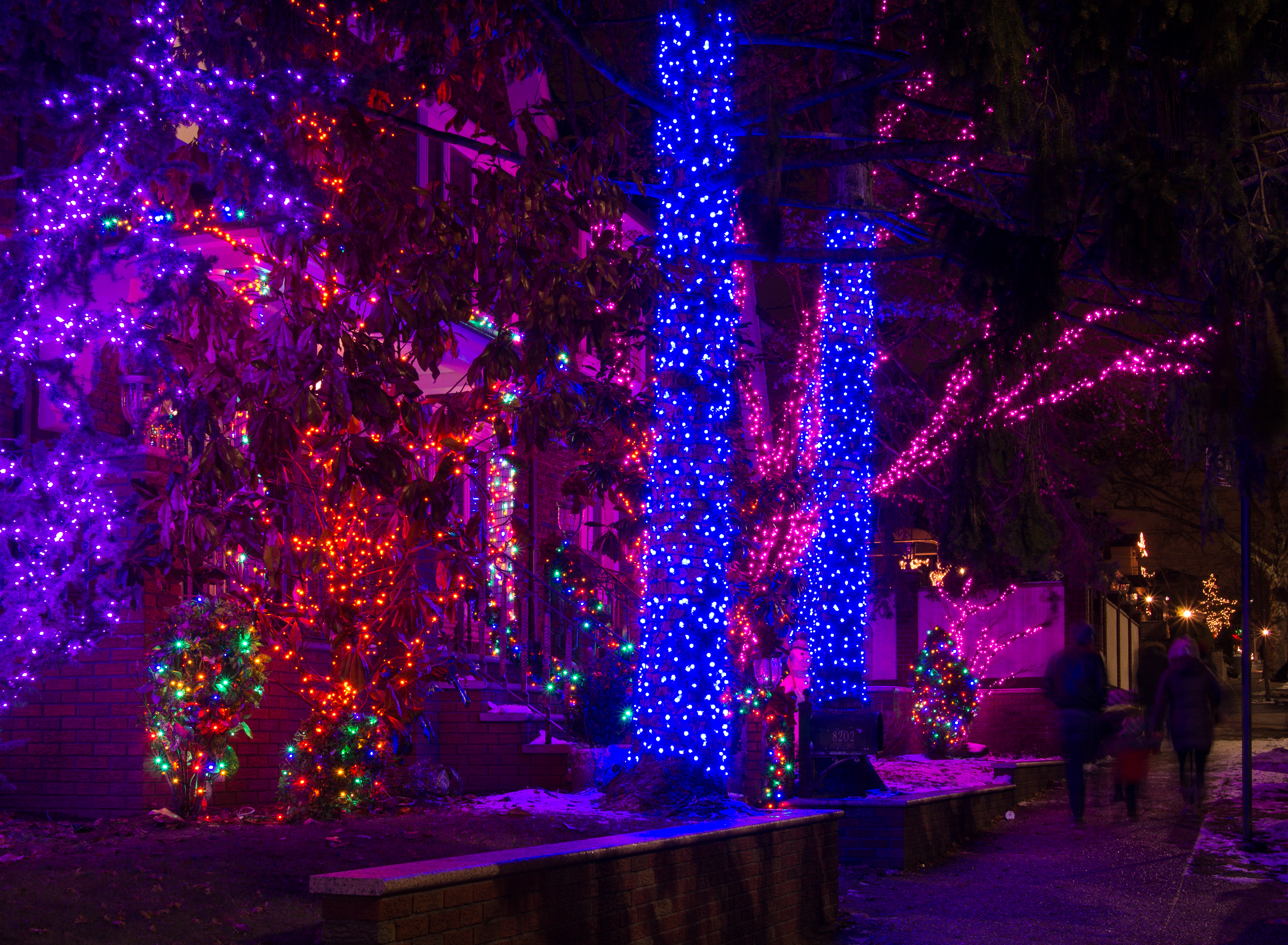 Dyker Lights (62299)