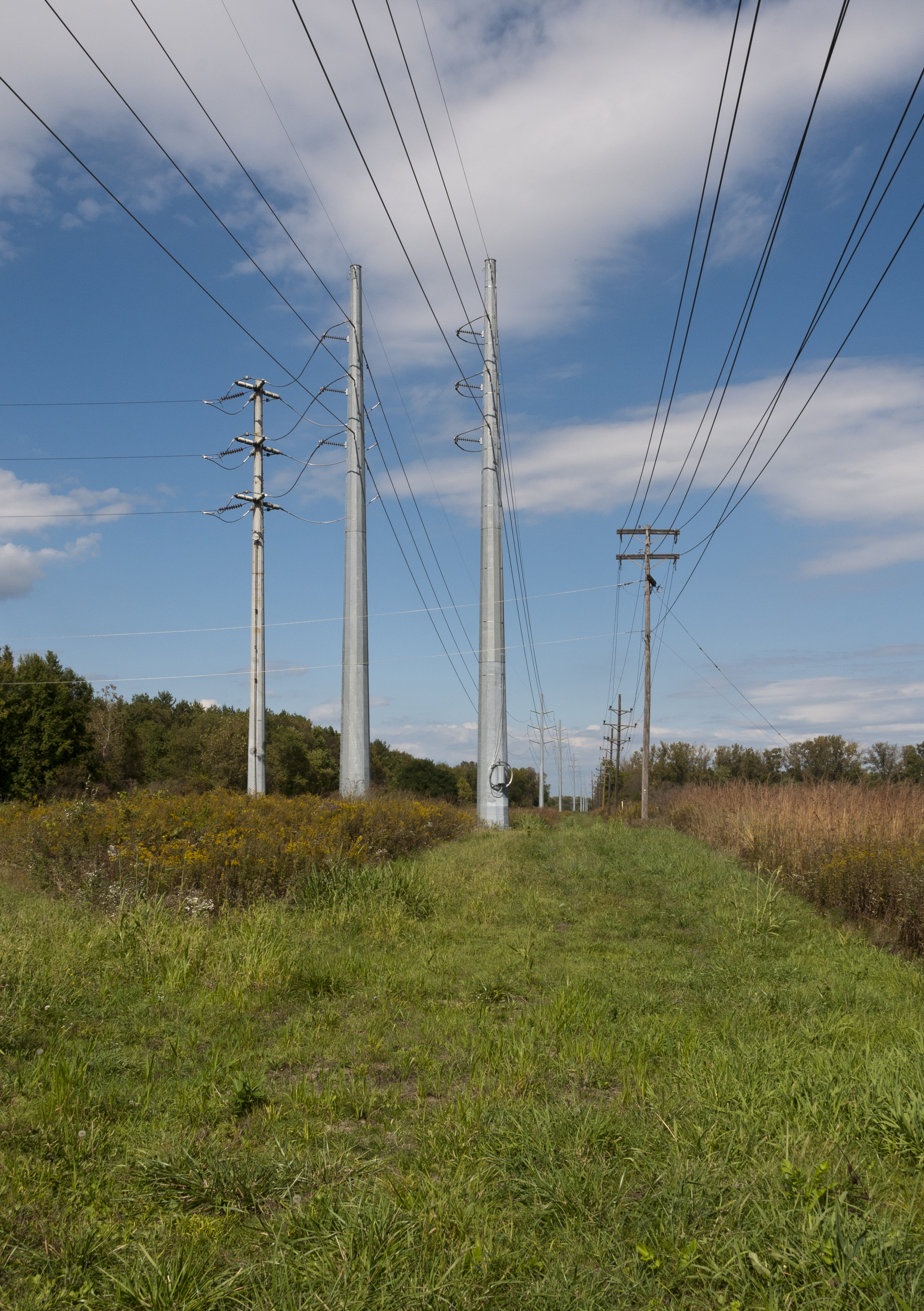 New High Transmission Lines Cut through the Meadow 1