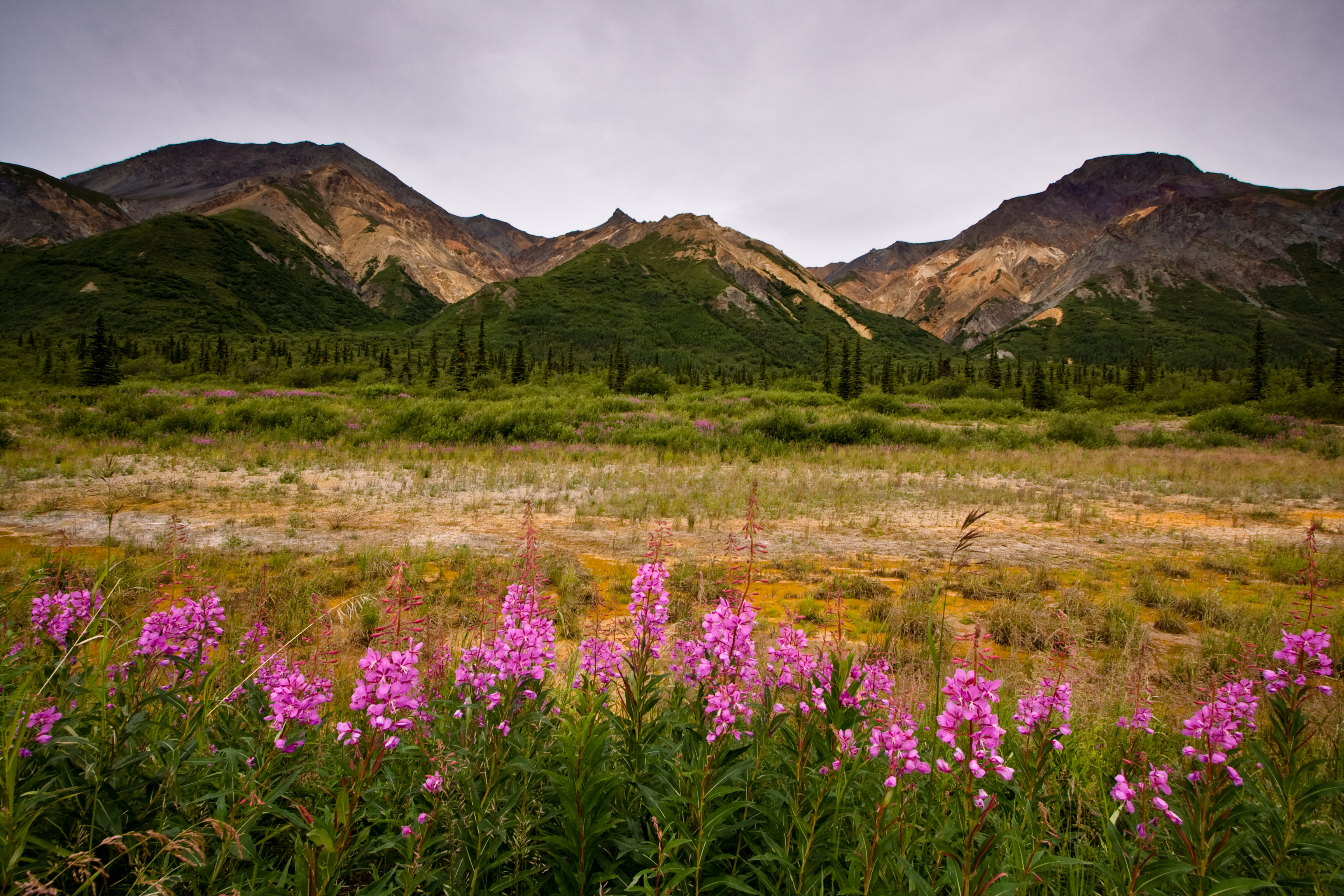 Parfait Alaska