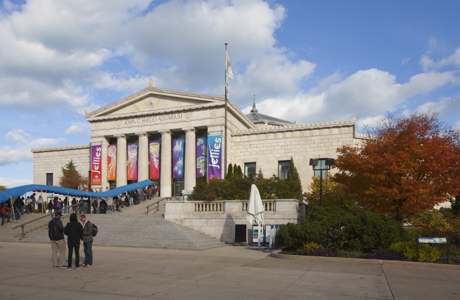 Acuario Shedd, Chicago, Illinois, Estados Unidos, 2012-10-21, DD 03